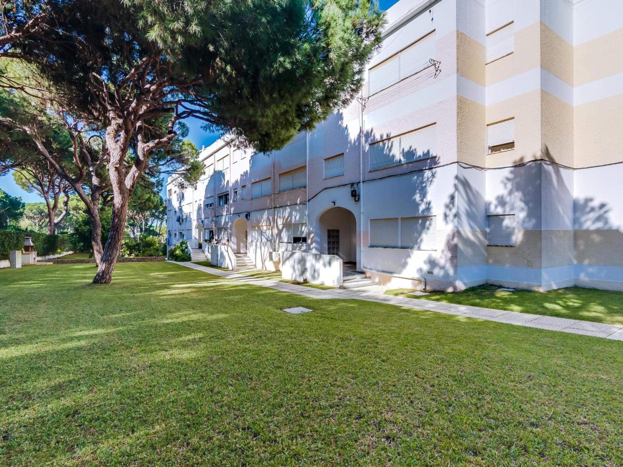 AL - Apartamento Pinhal da Praia view 2