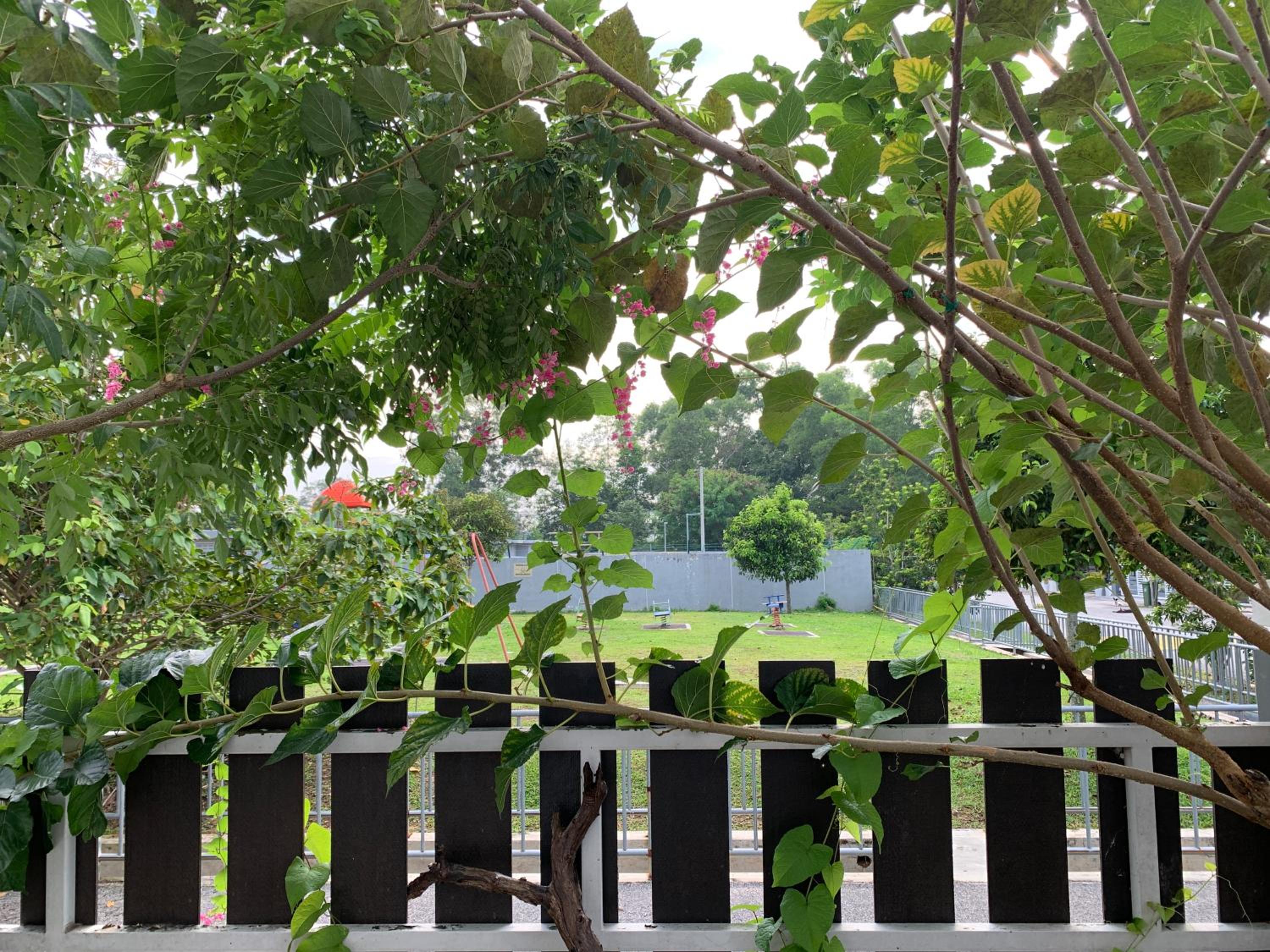 A home with private pool, KebunStorey view 5