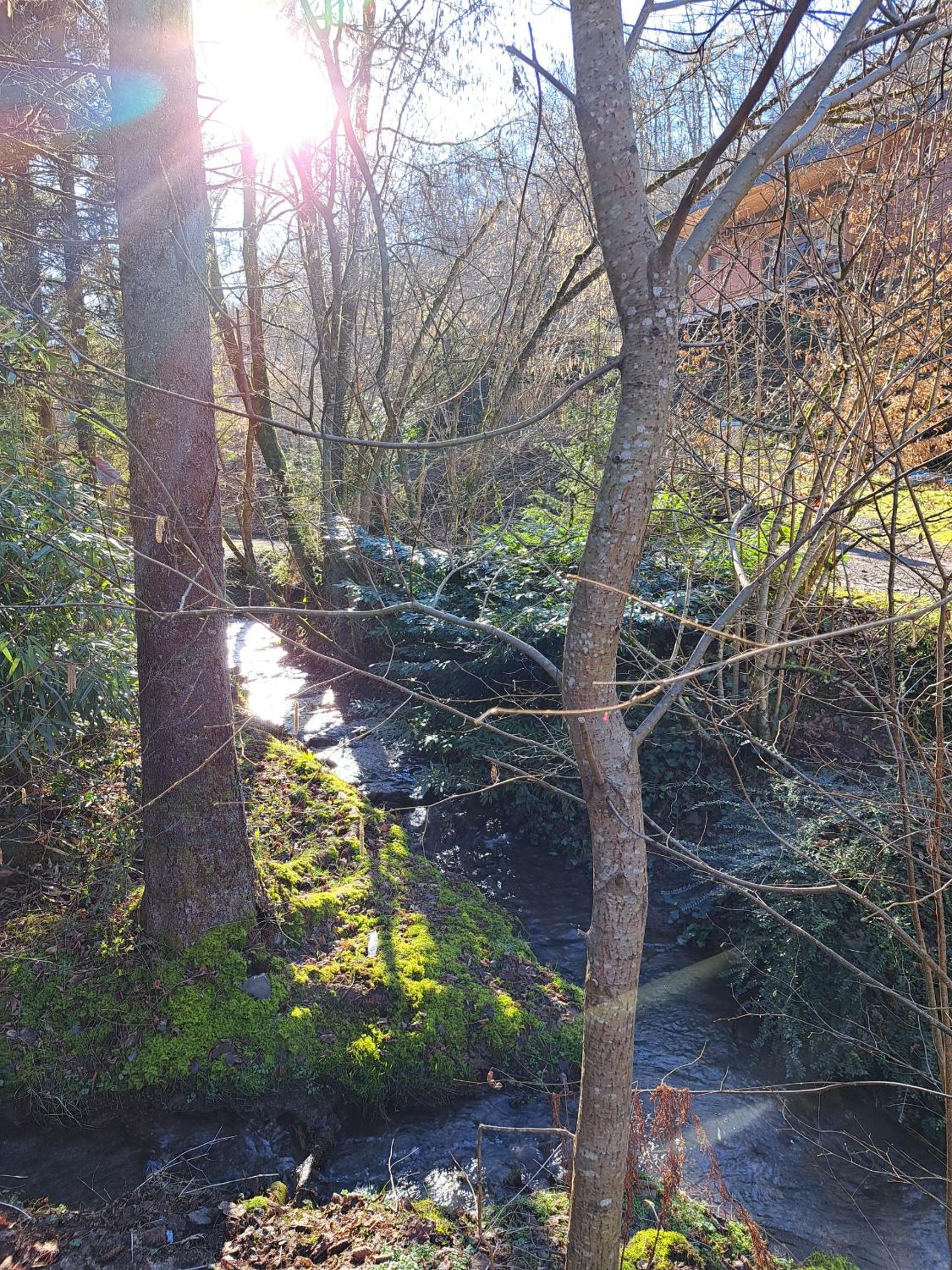 Le Ri de Vâ Maboge La Roche en Ardenne