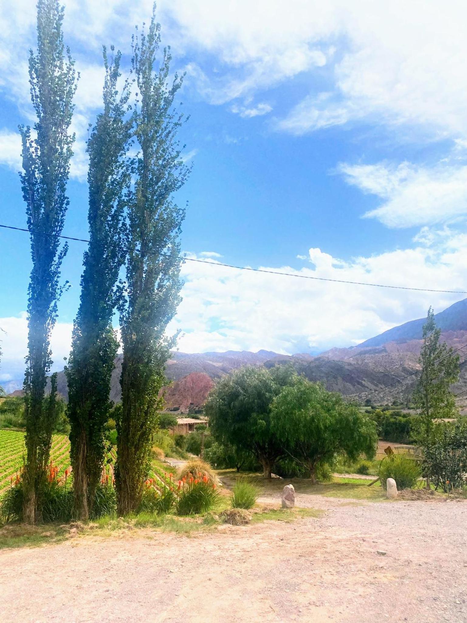 Finca La Candelaria