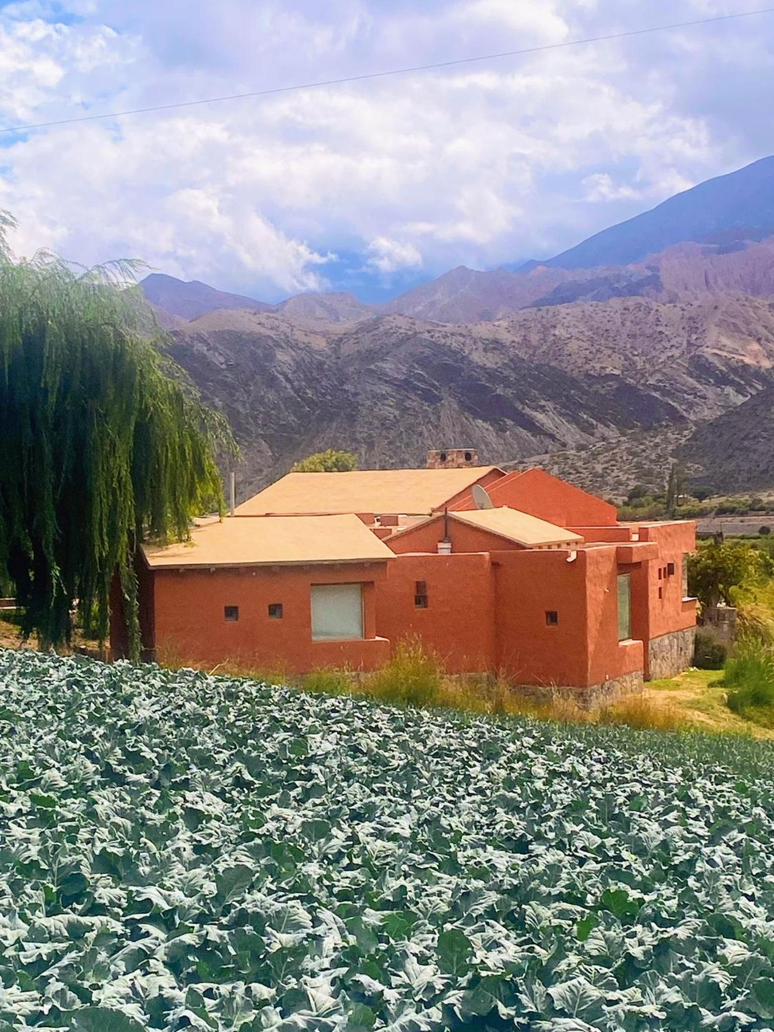 Finca La Candelaria