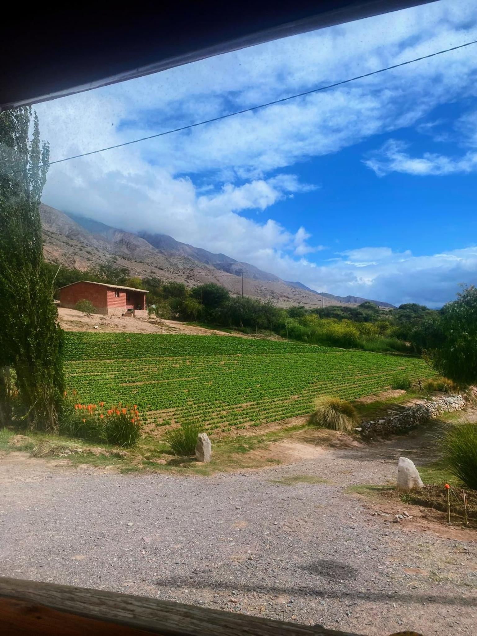 Finca La Candelaria