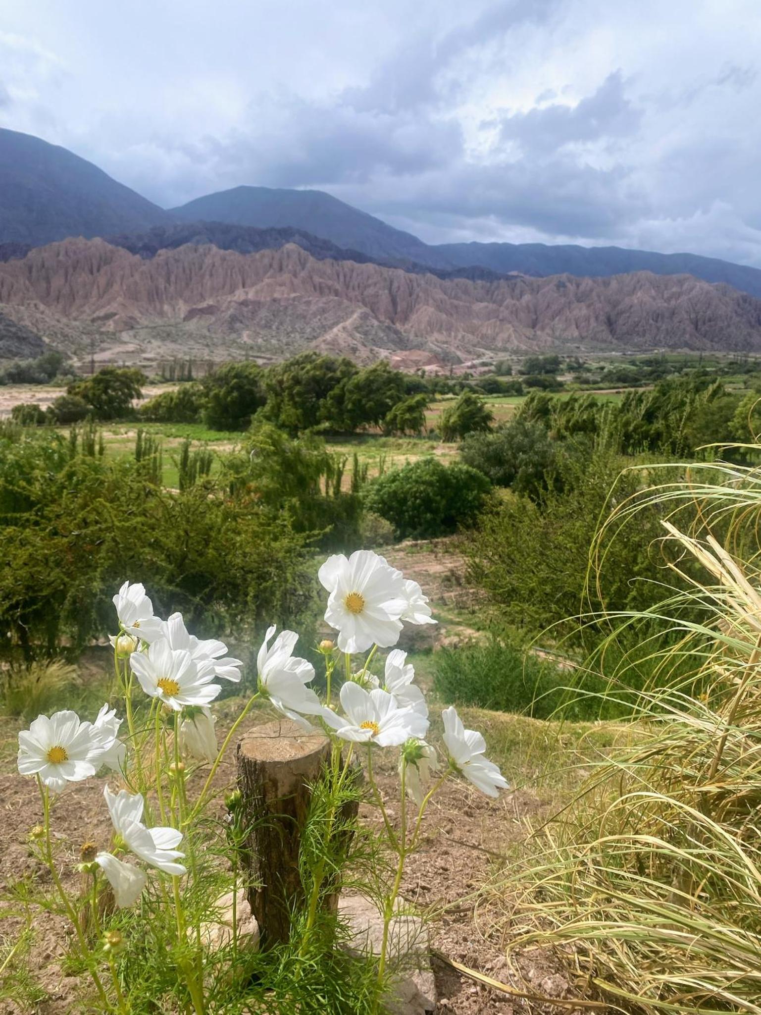 Finca La Candelaria