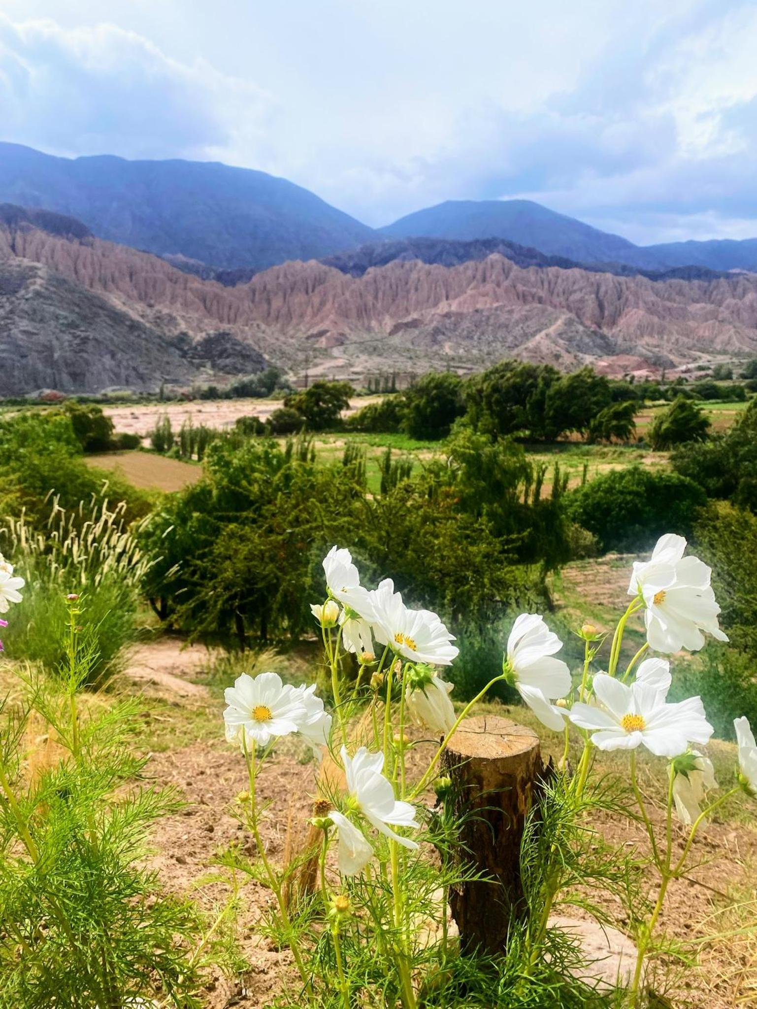 Finca La Candelaria