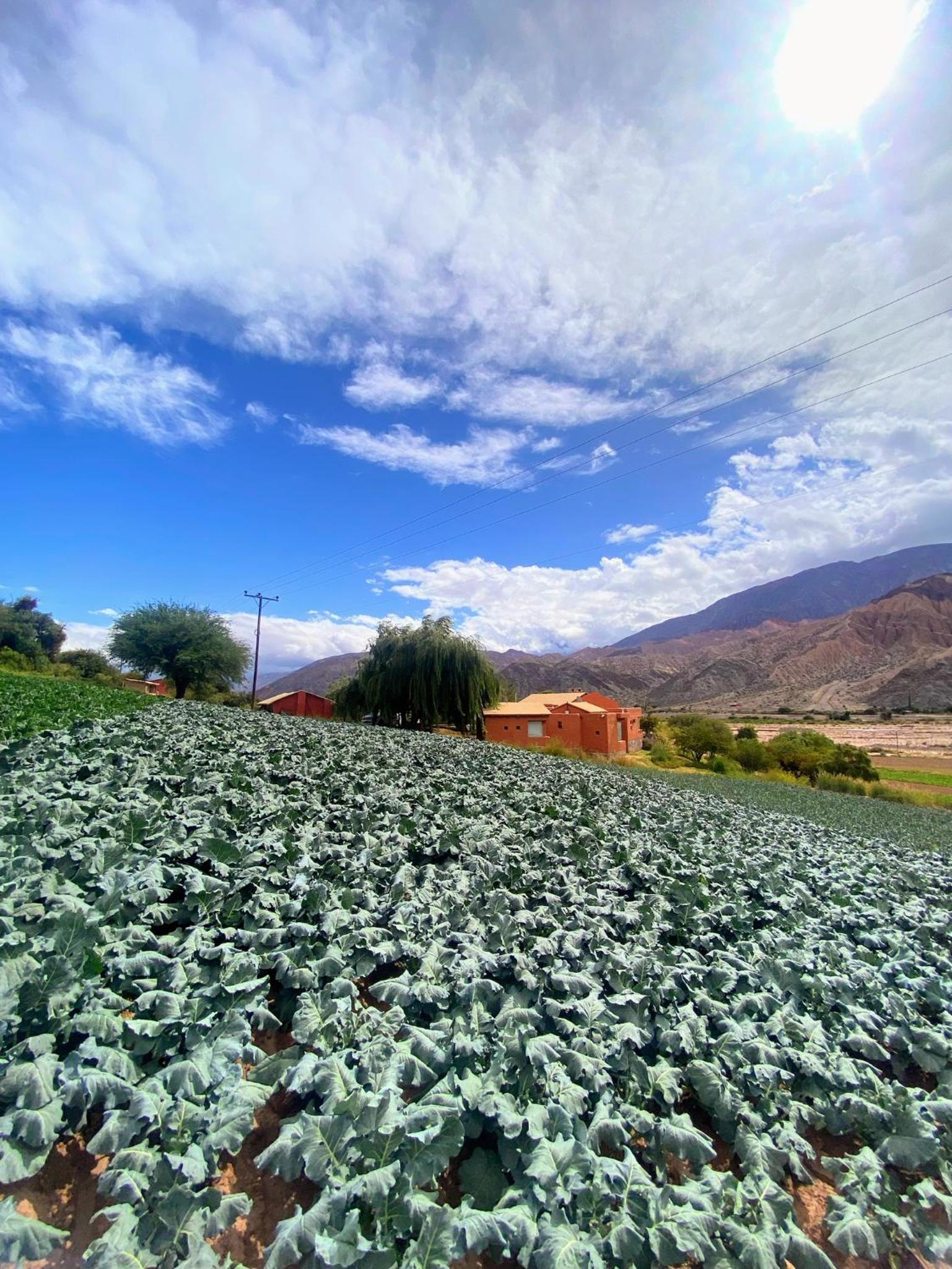 Finca La Candelaria