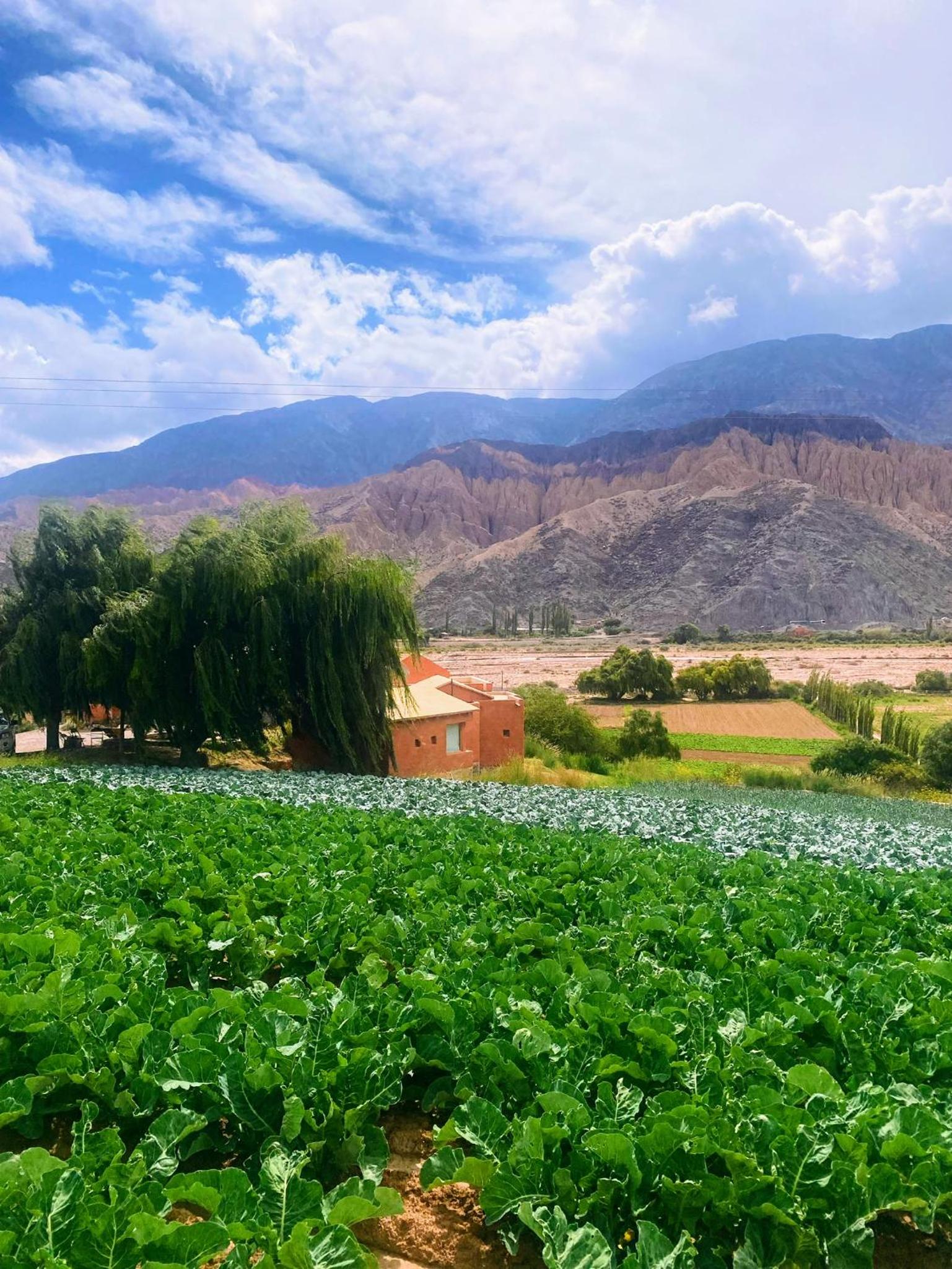 Finca La Candelaria