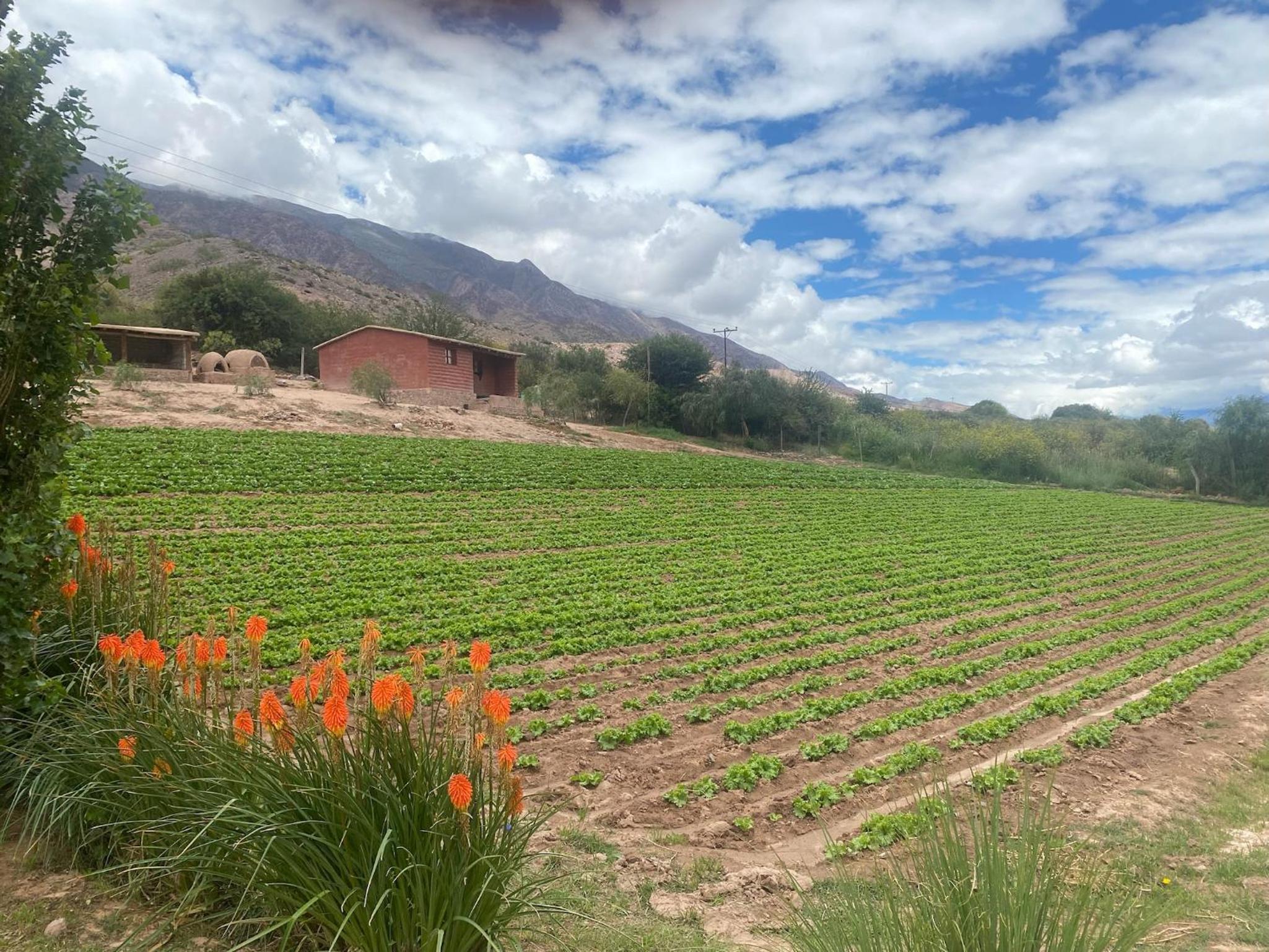 Finca La Candelaria