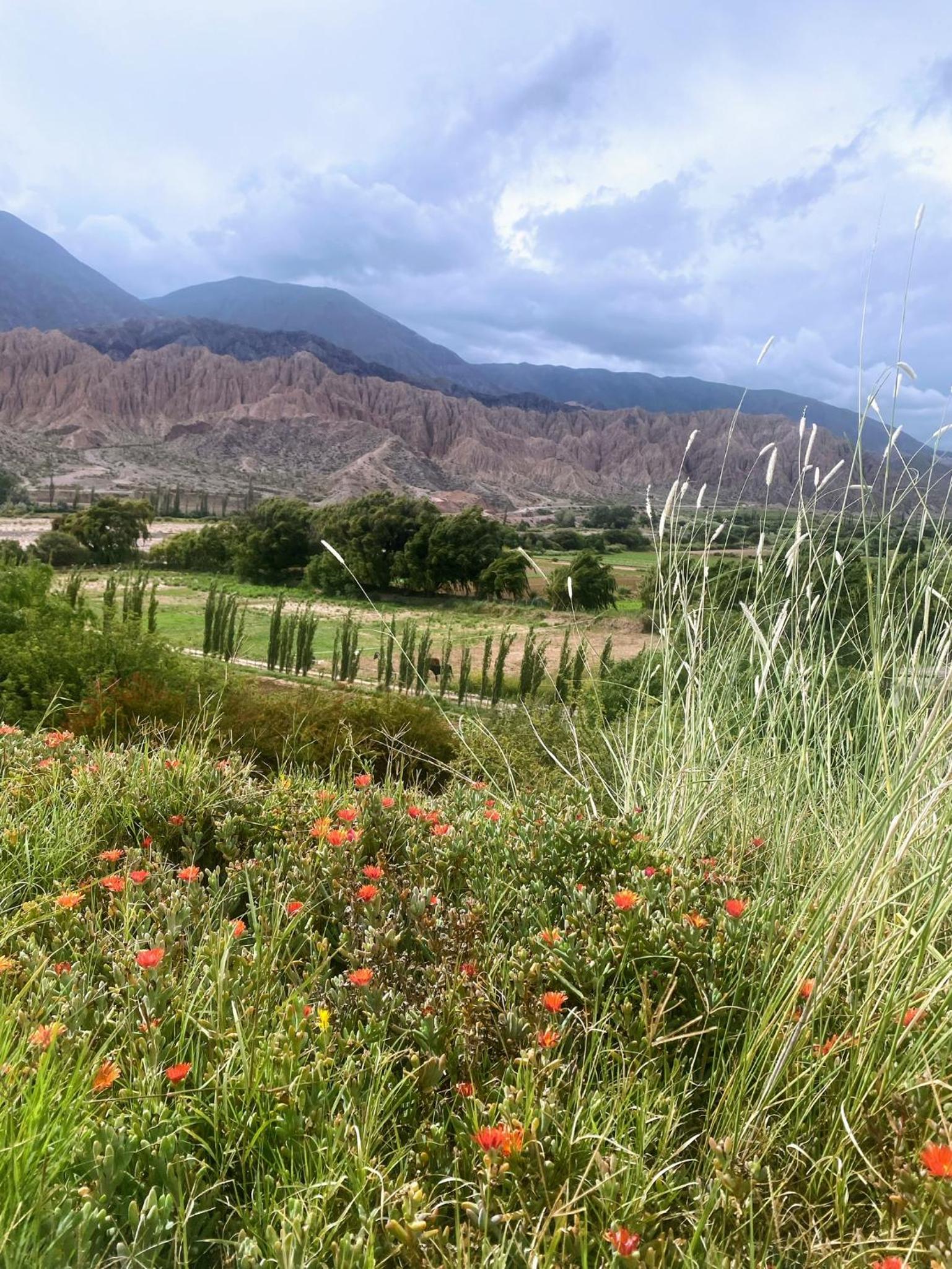 Finca La Candelaria