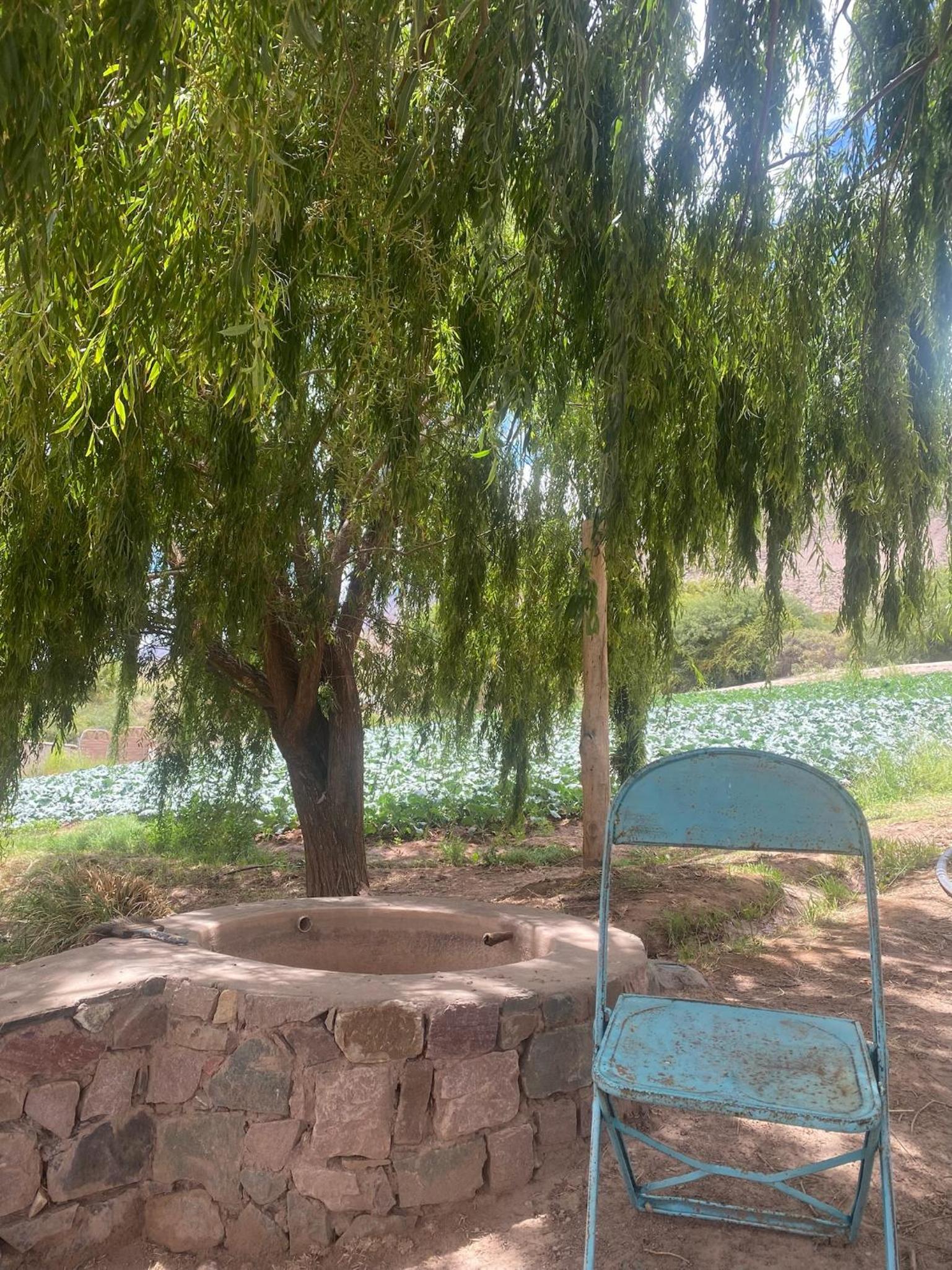 Finca La Candelaria