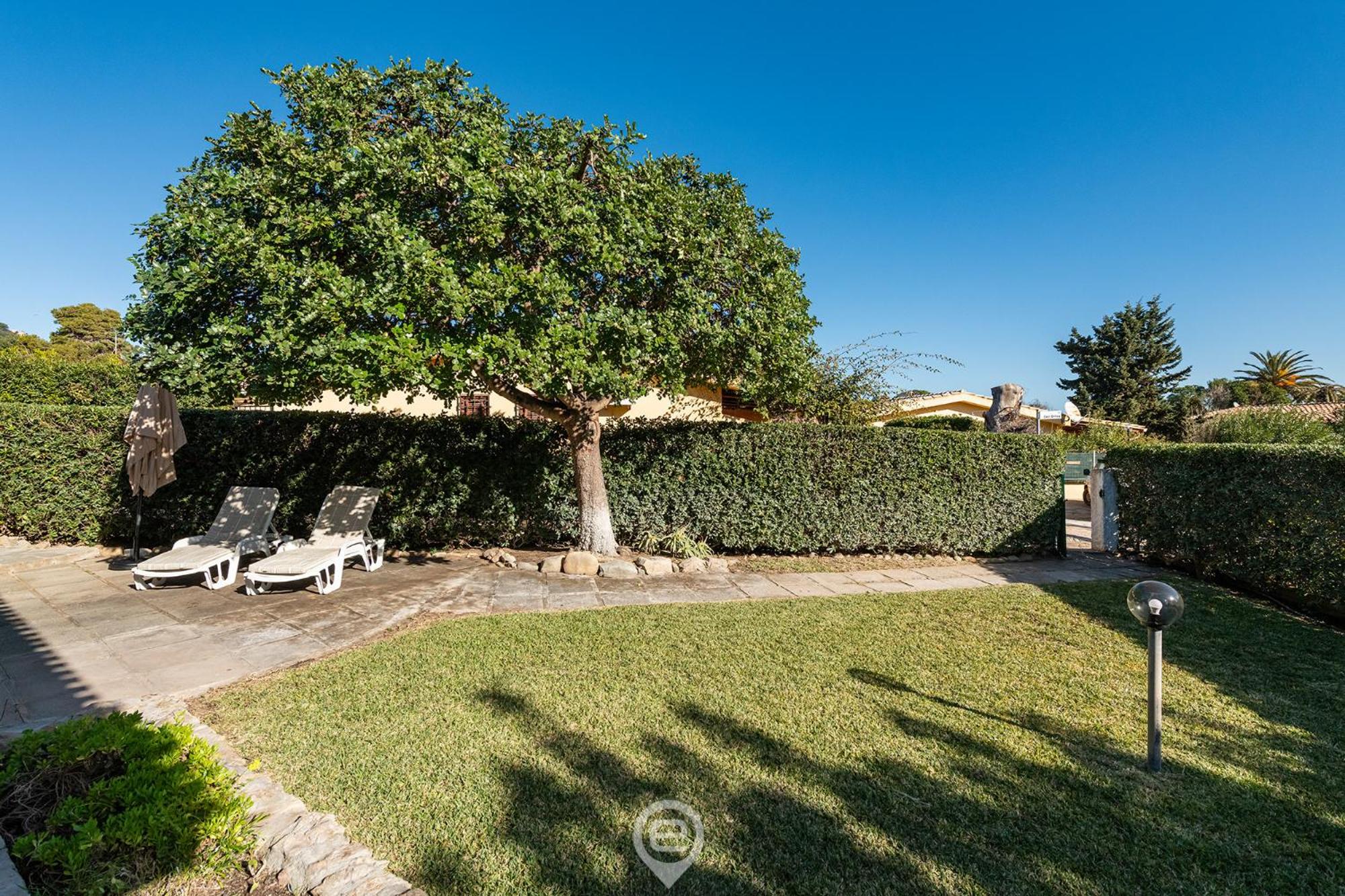 Palm Villa
