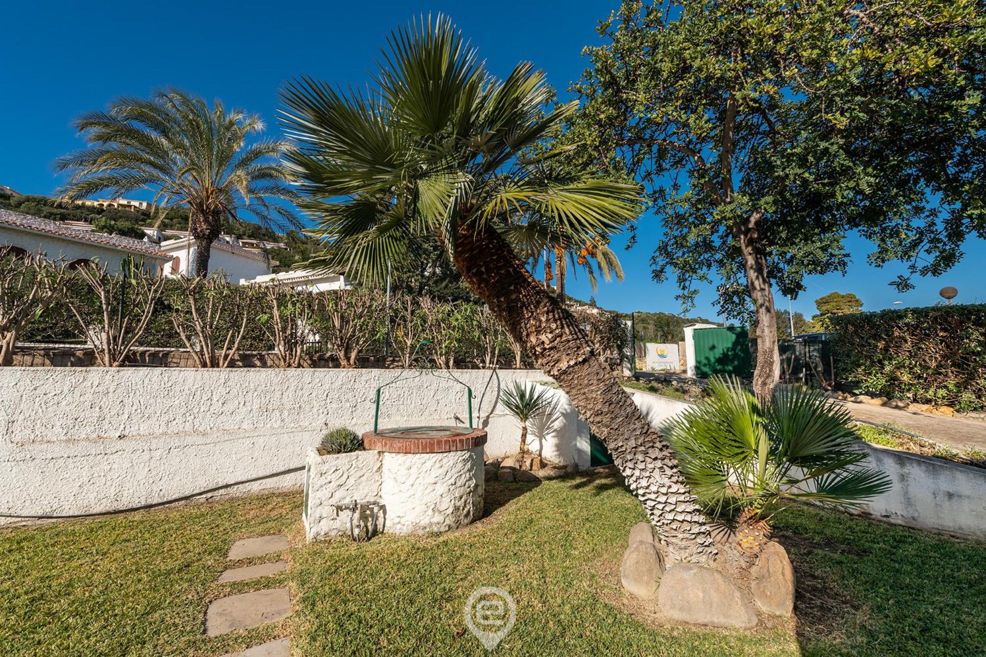 Palm Villa