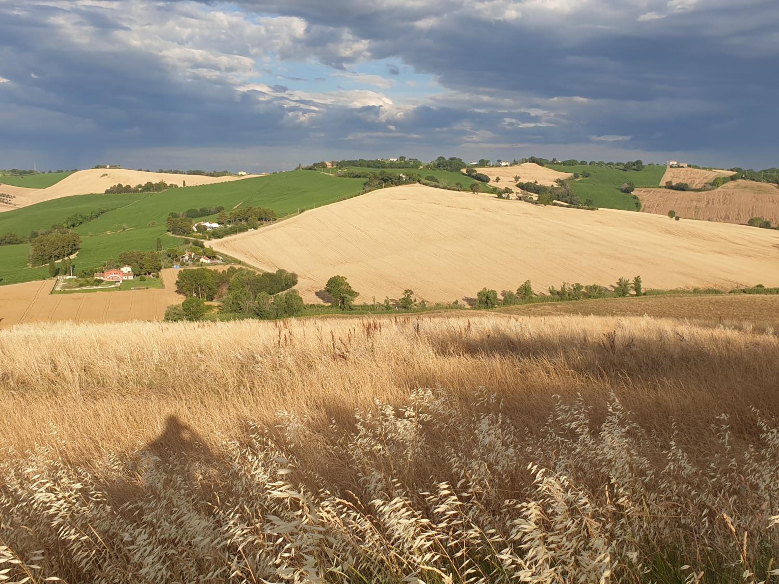 other