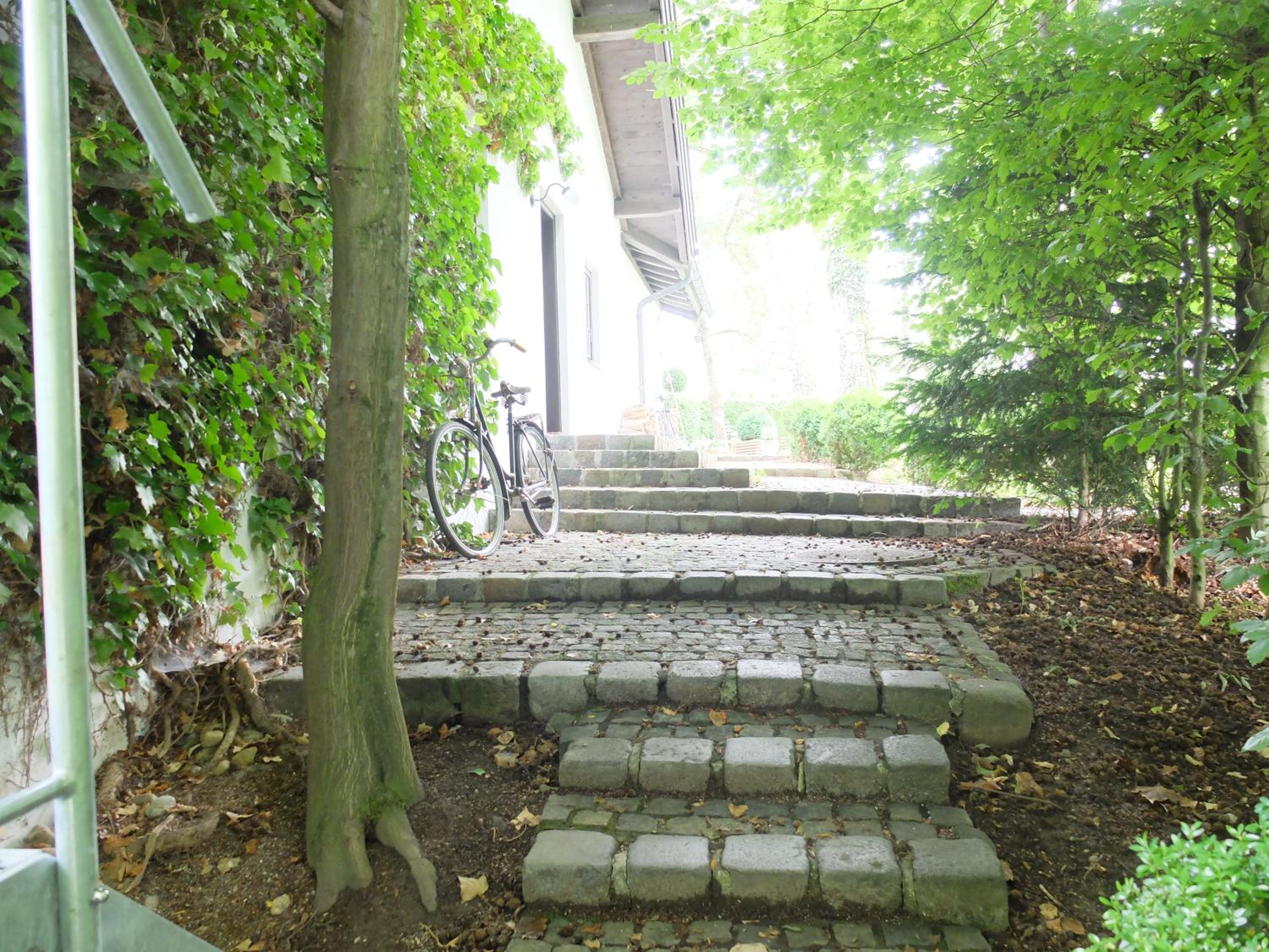 Photo 37