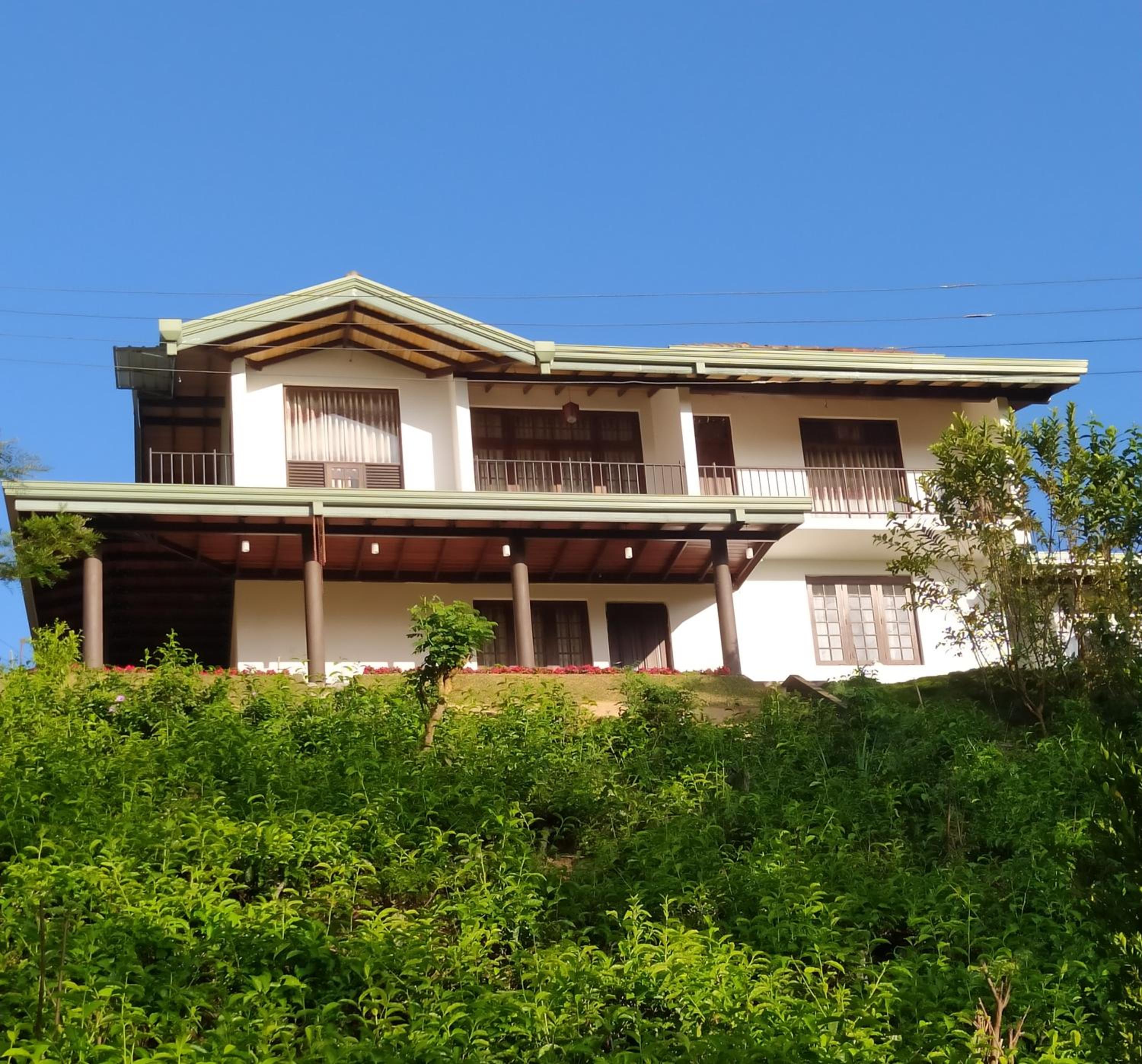 Photo 7