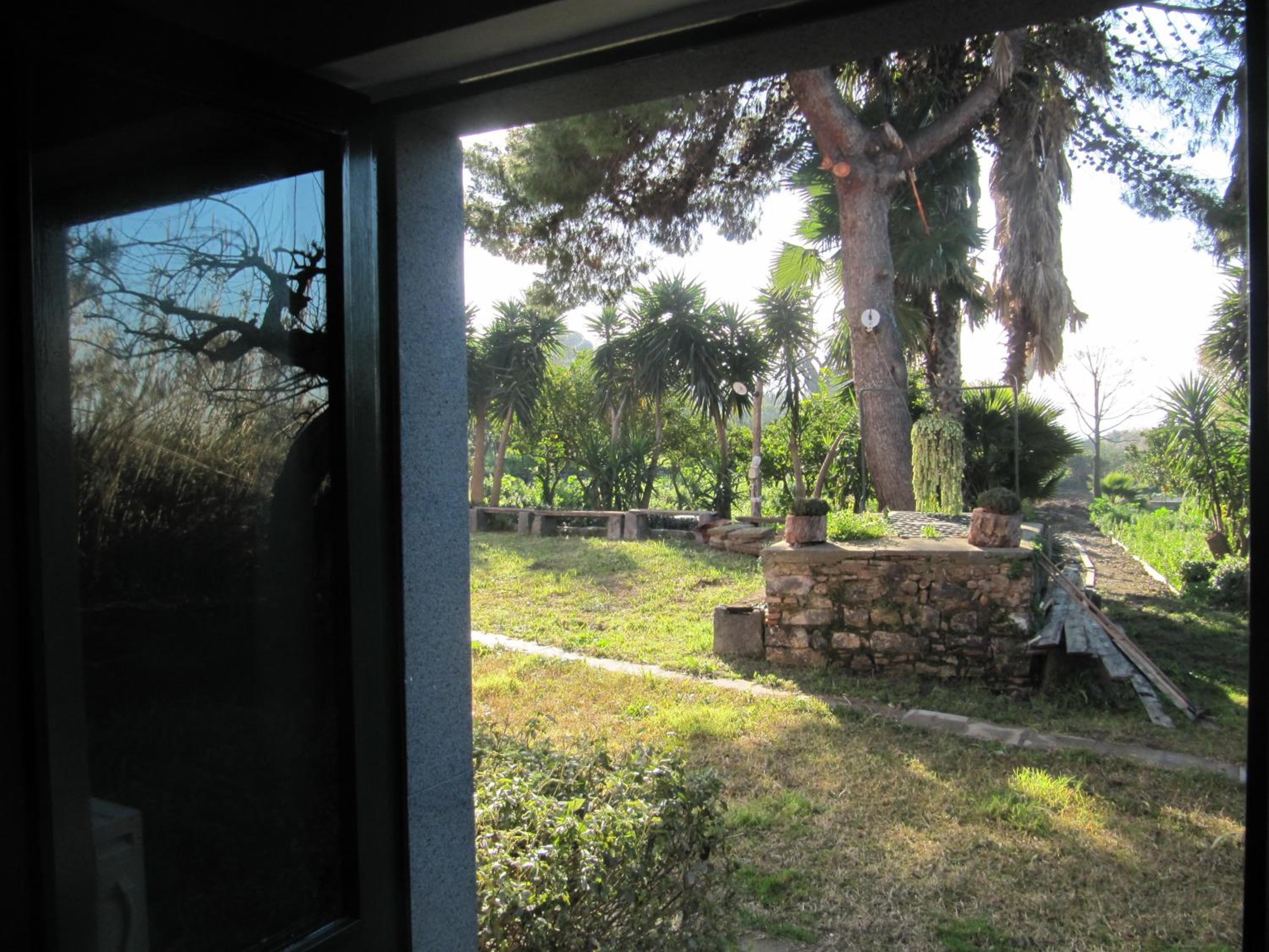 Photo 37