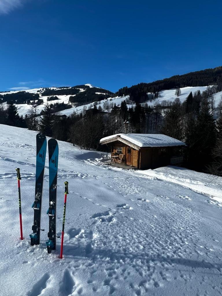 Bärenbach - Almhütte Saalbach