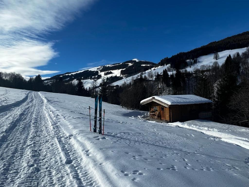 Bärenbach - Almhütte Saalbach
