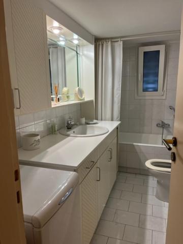 Spacious and sunny appartment in Cholargos