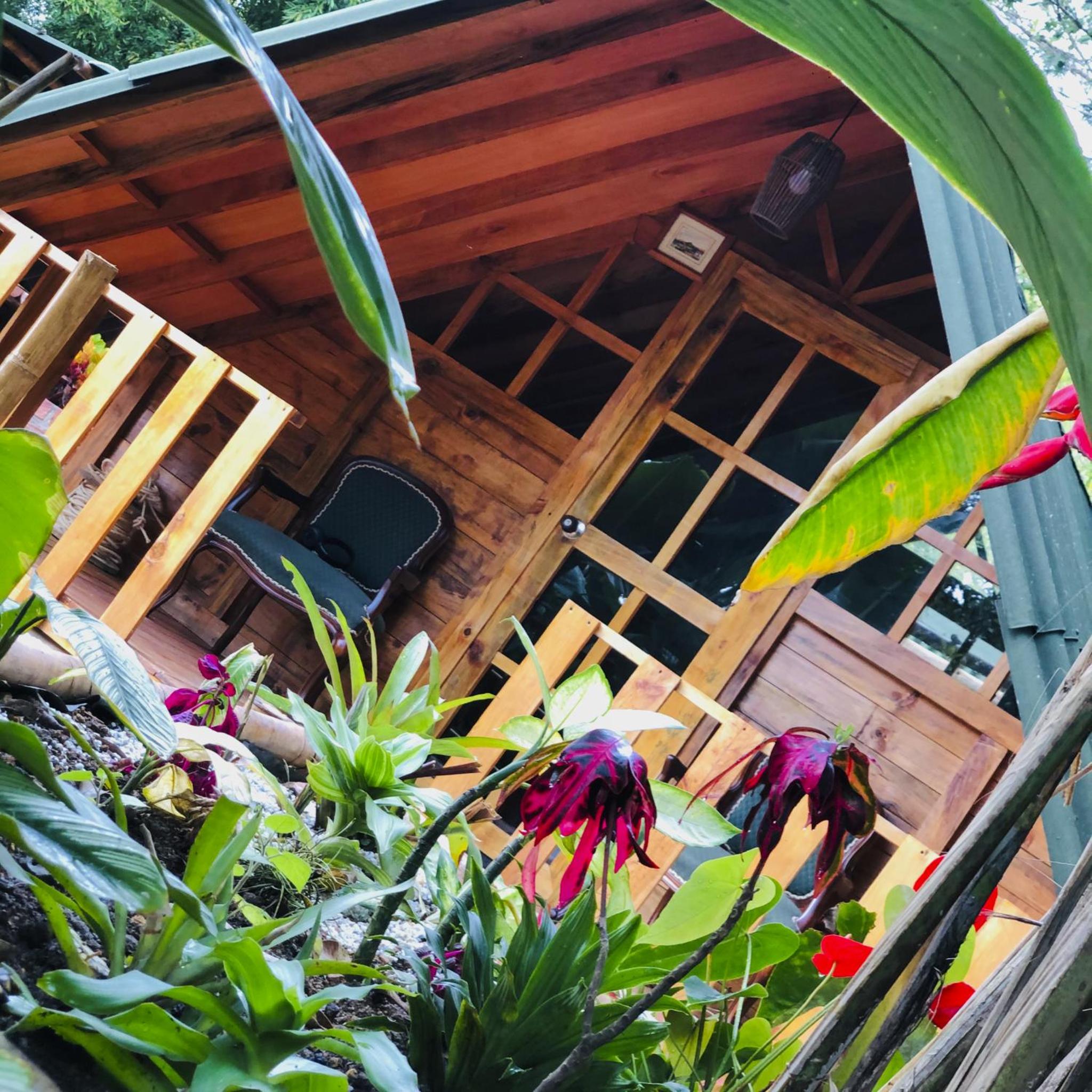 Finca Colibrí Zafiro, Altos del Rosario