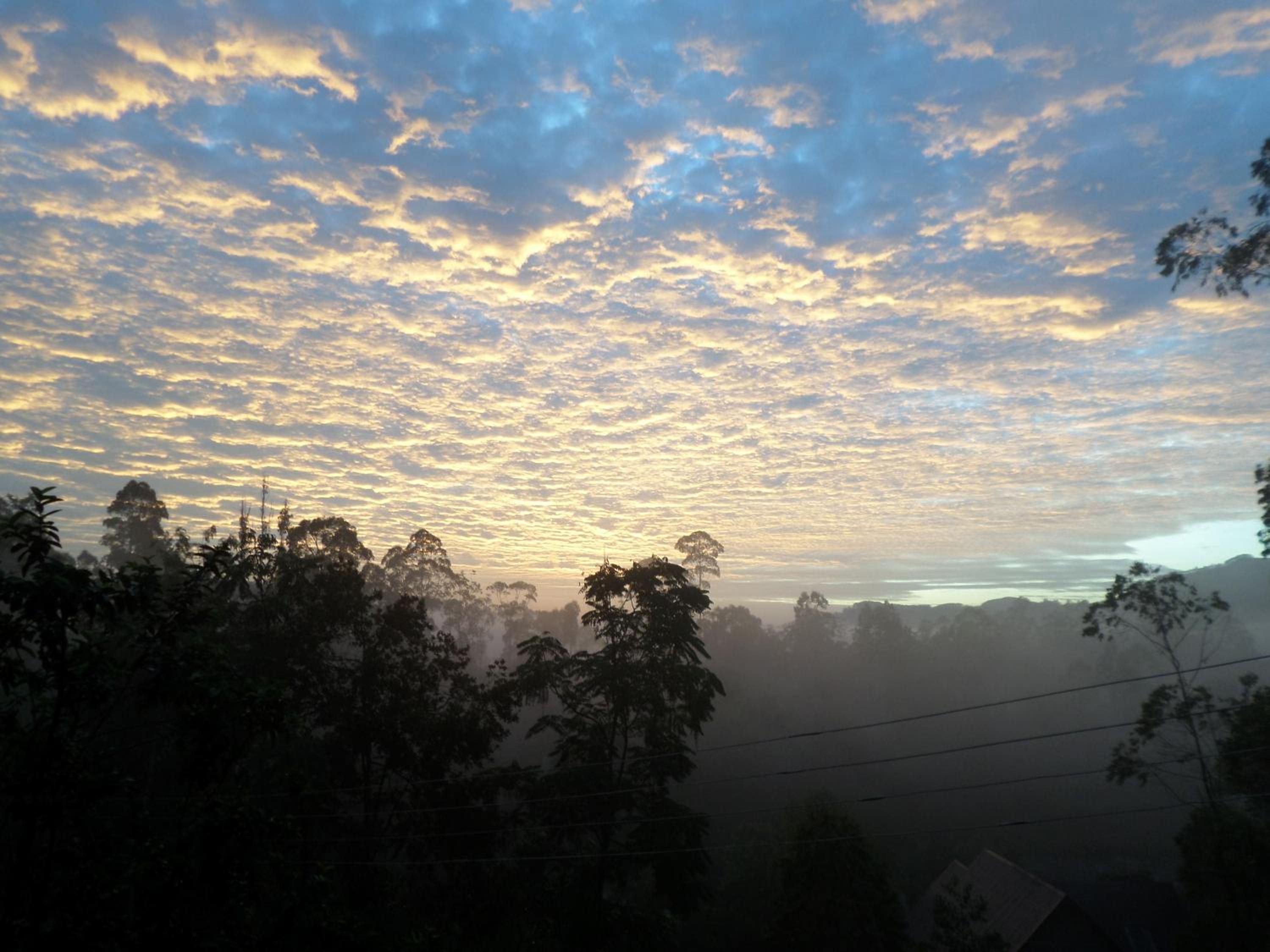 Pebbles Holiday Bungalow Bandarawela view 3