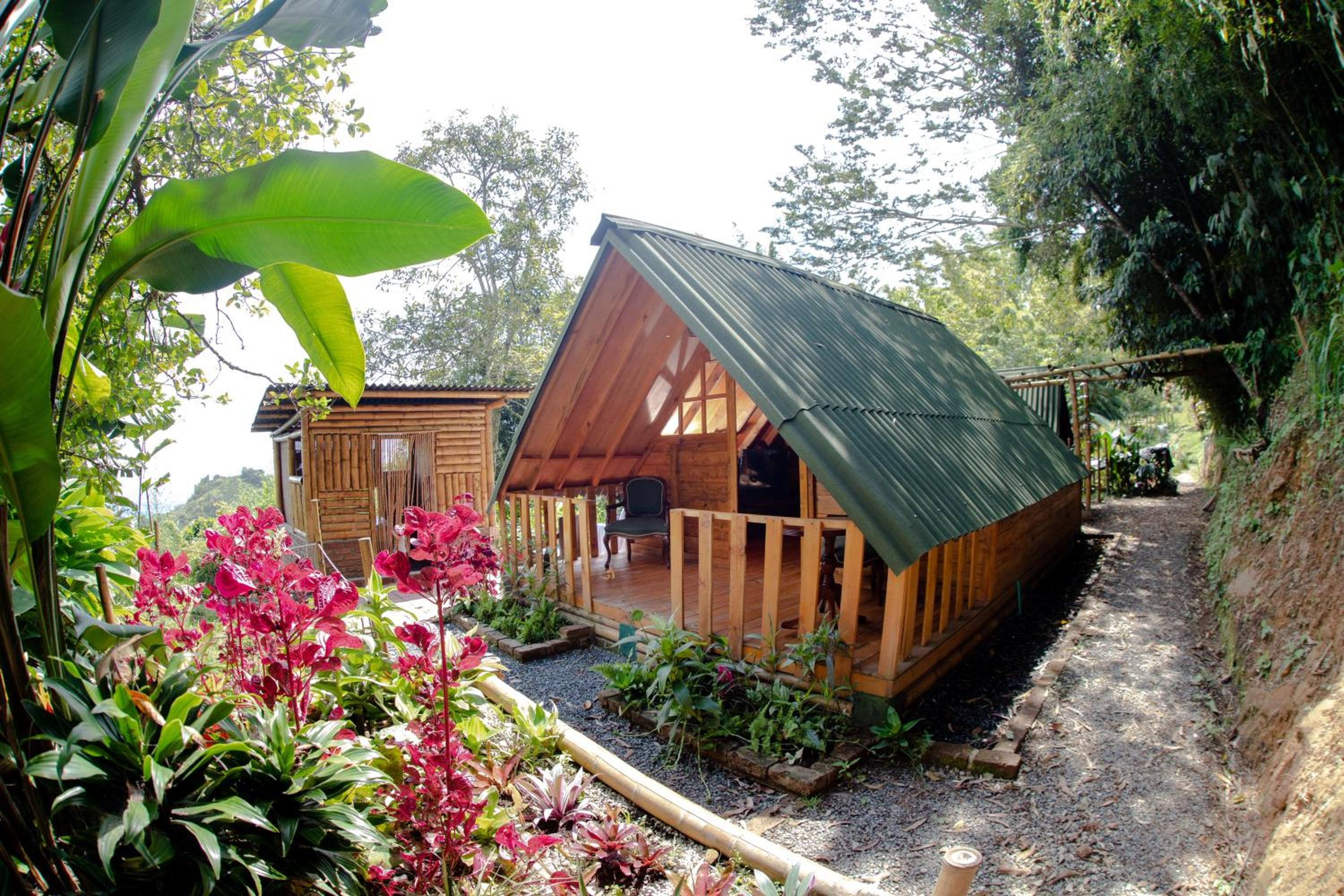 Finca Colibrí Zafiro, Altos del Rosario
