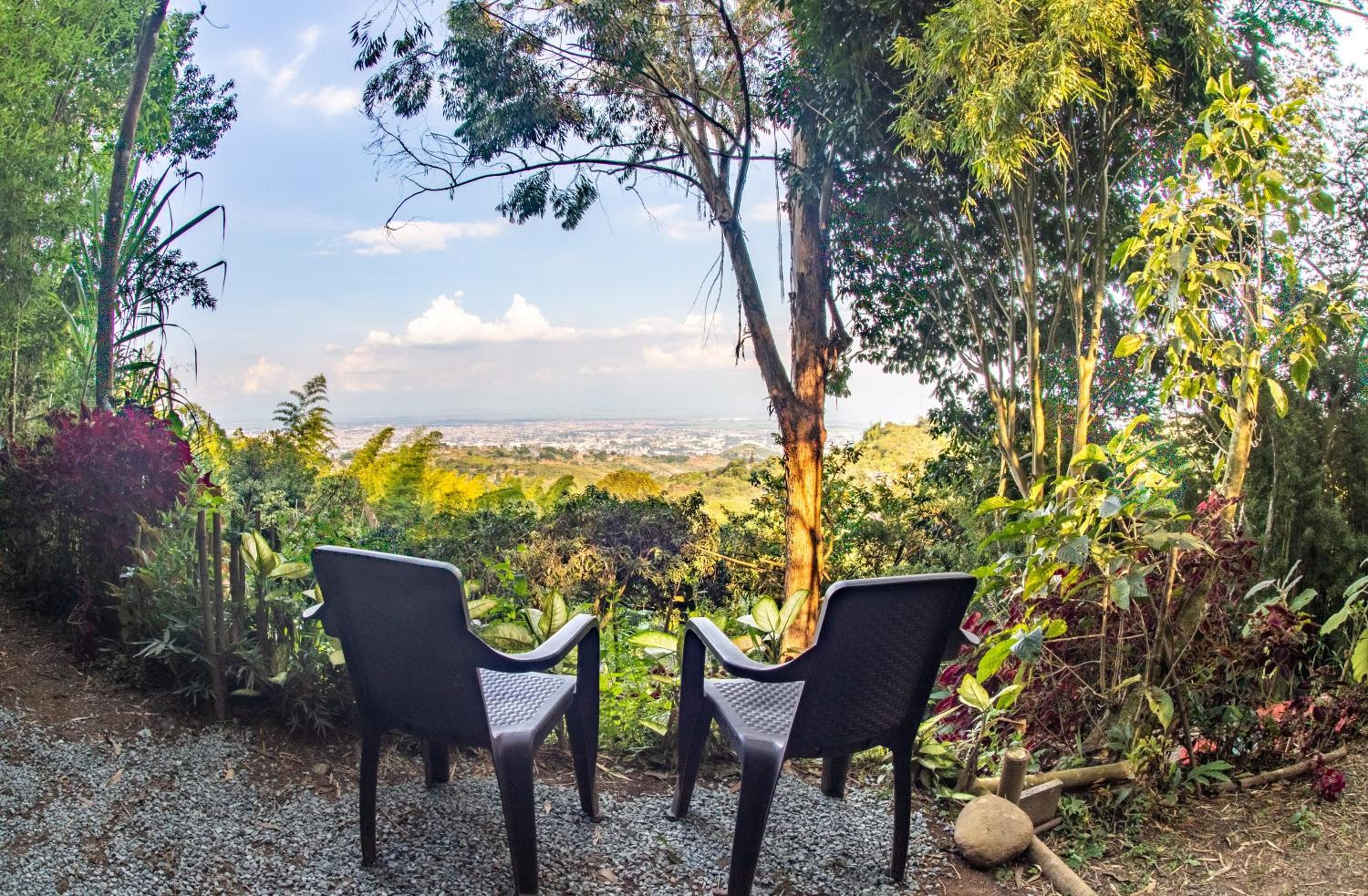 Finca Colibrí Zafiro, Altos del Rosario