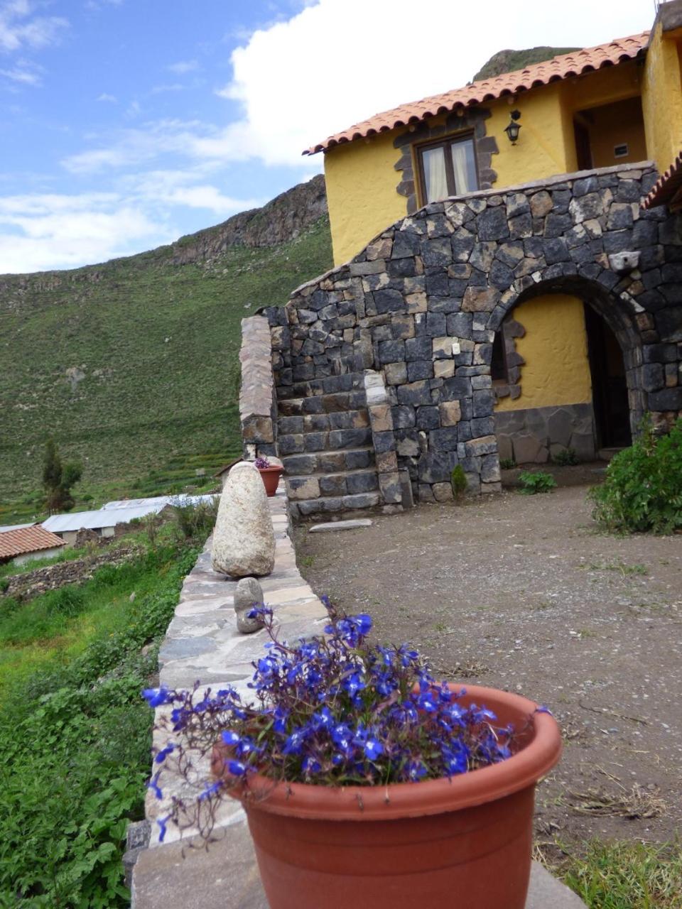Lodge Mirador San Antonio- Colca