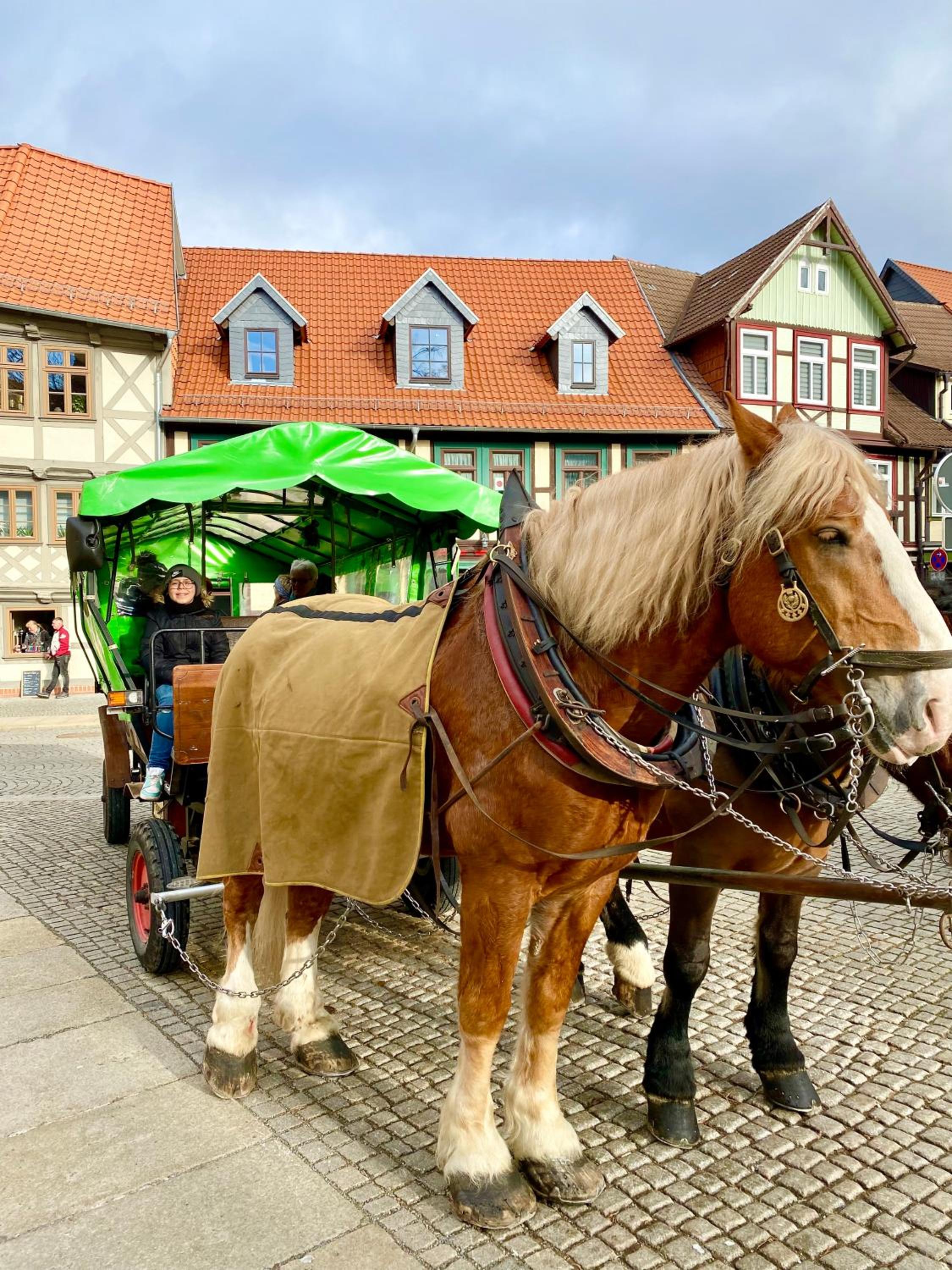 Traumhaus Wernigerode mit Sauna und Kamin
