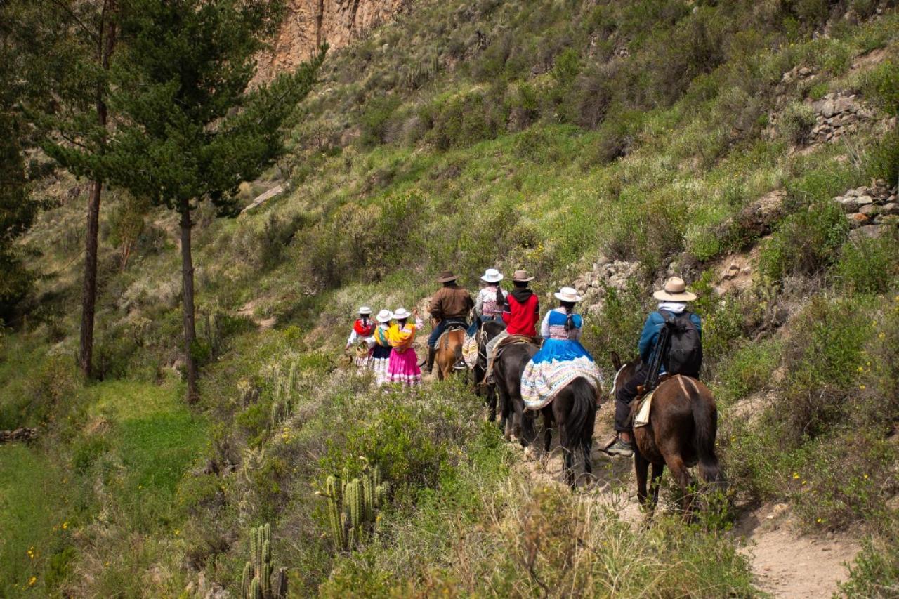 Lodge Mirador San Antonio- Colca