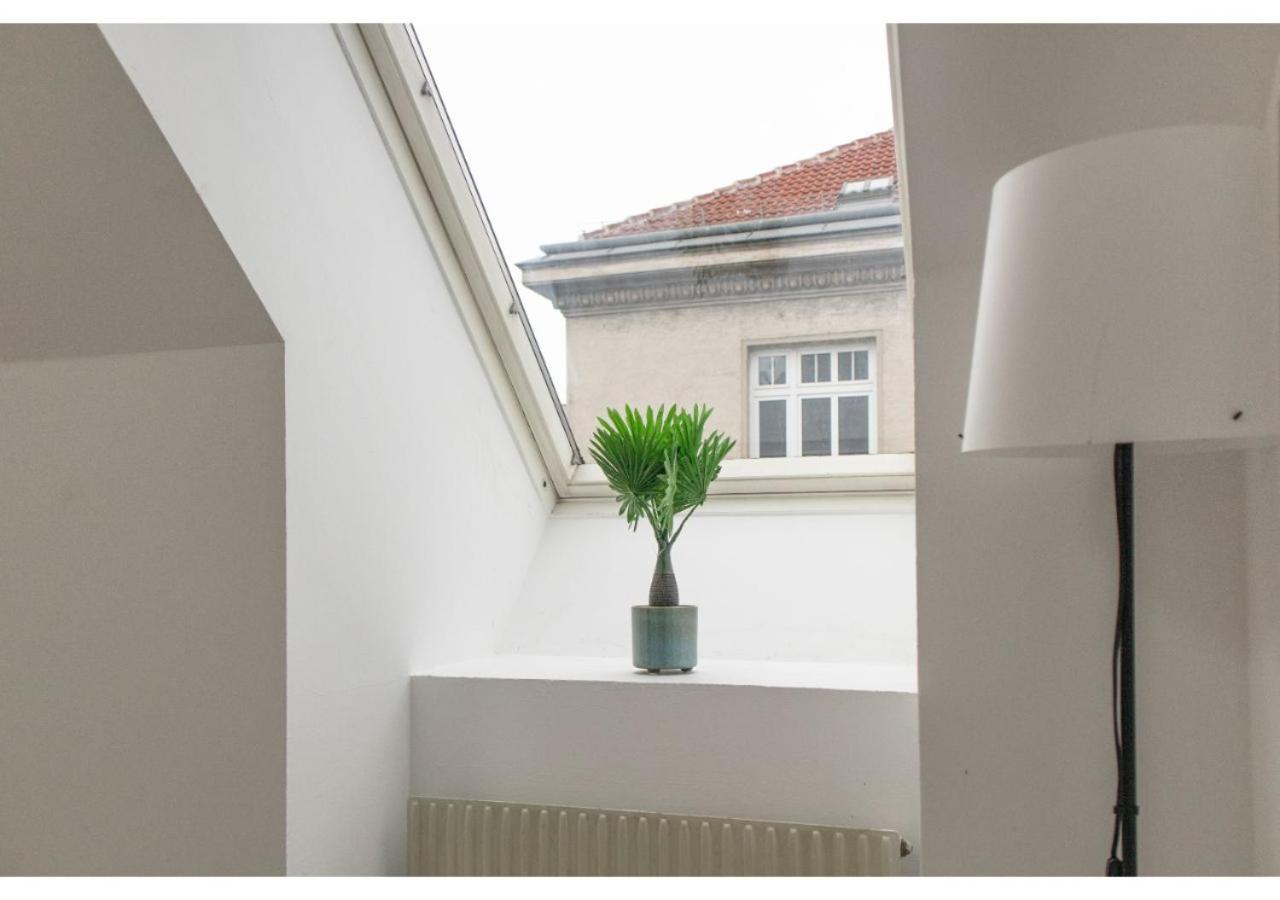 Homely 3BR Apt.- Perfect for families and groups