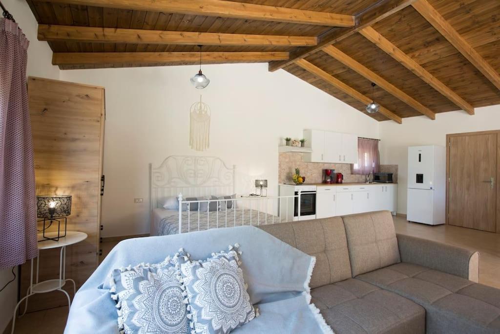 Serenity Studio Beach Home view 5