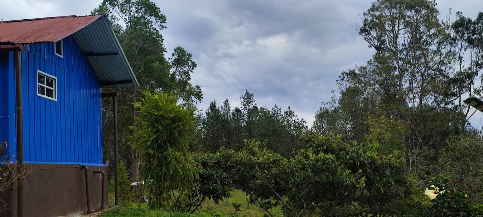 Photo 43