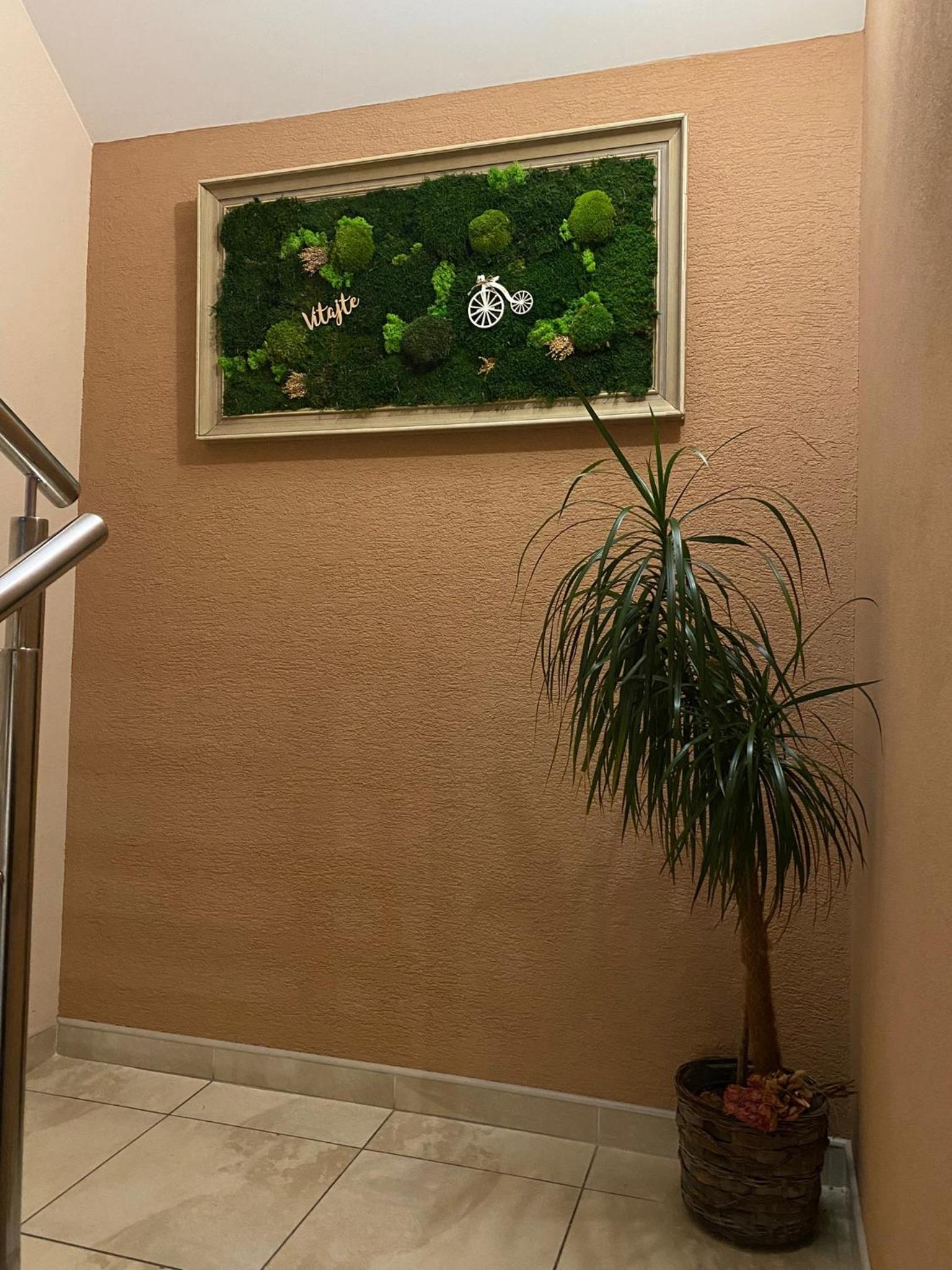 Apartmán pri parku view 4