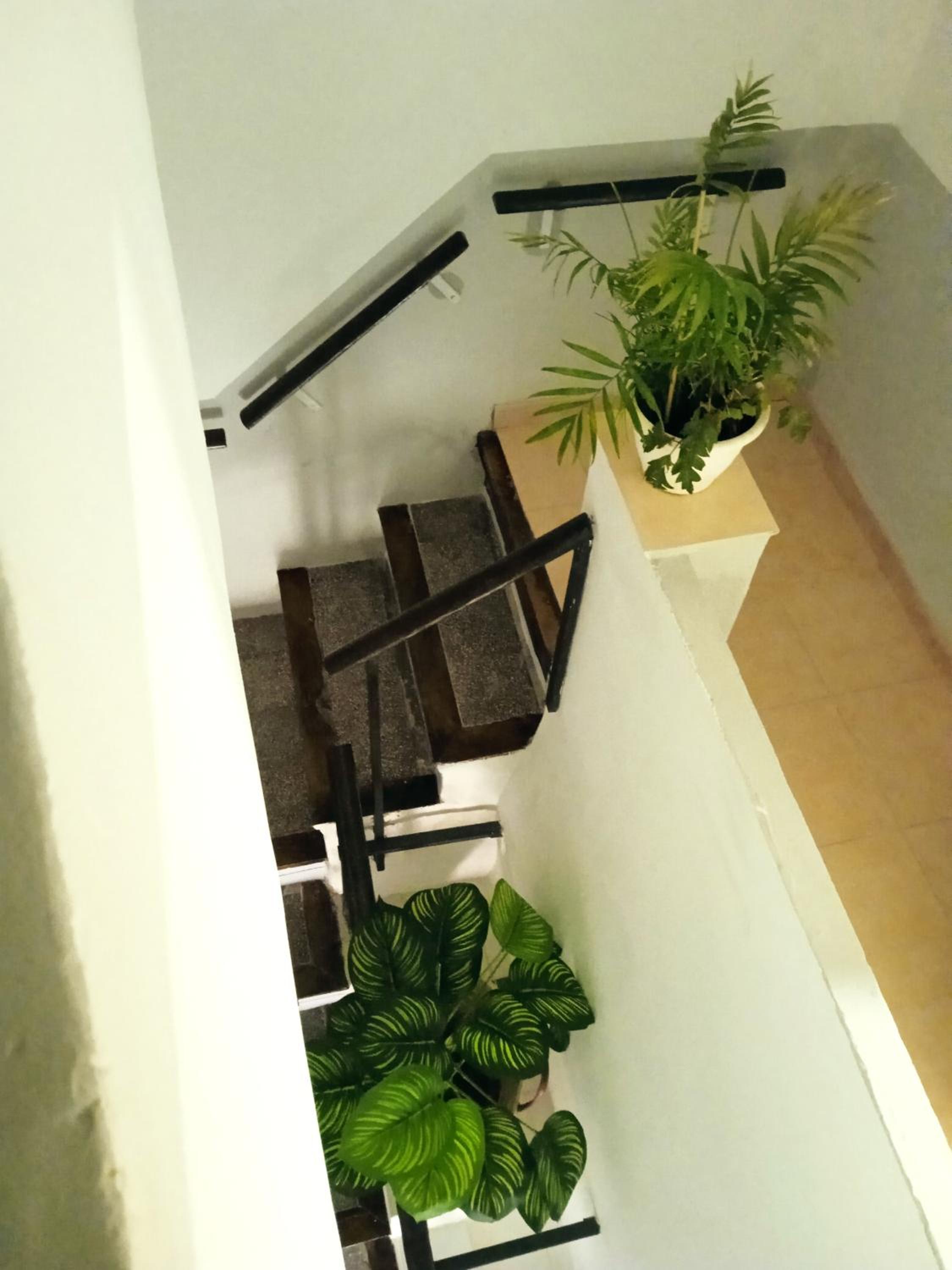 Casa Mónica