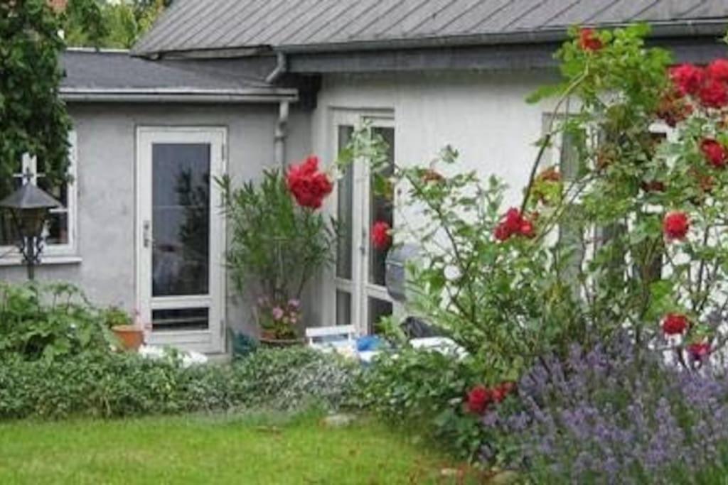Skønne værelser med adgang til pejsestue og have