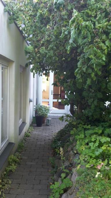 Skønne værelser med adgang til pejsestue og have