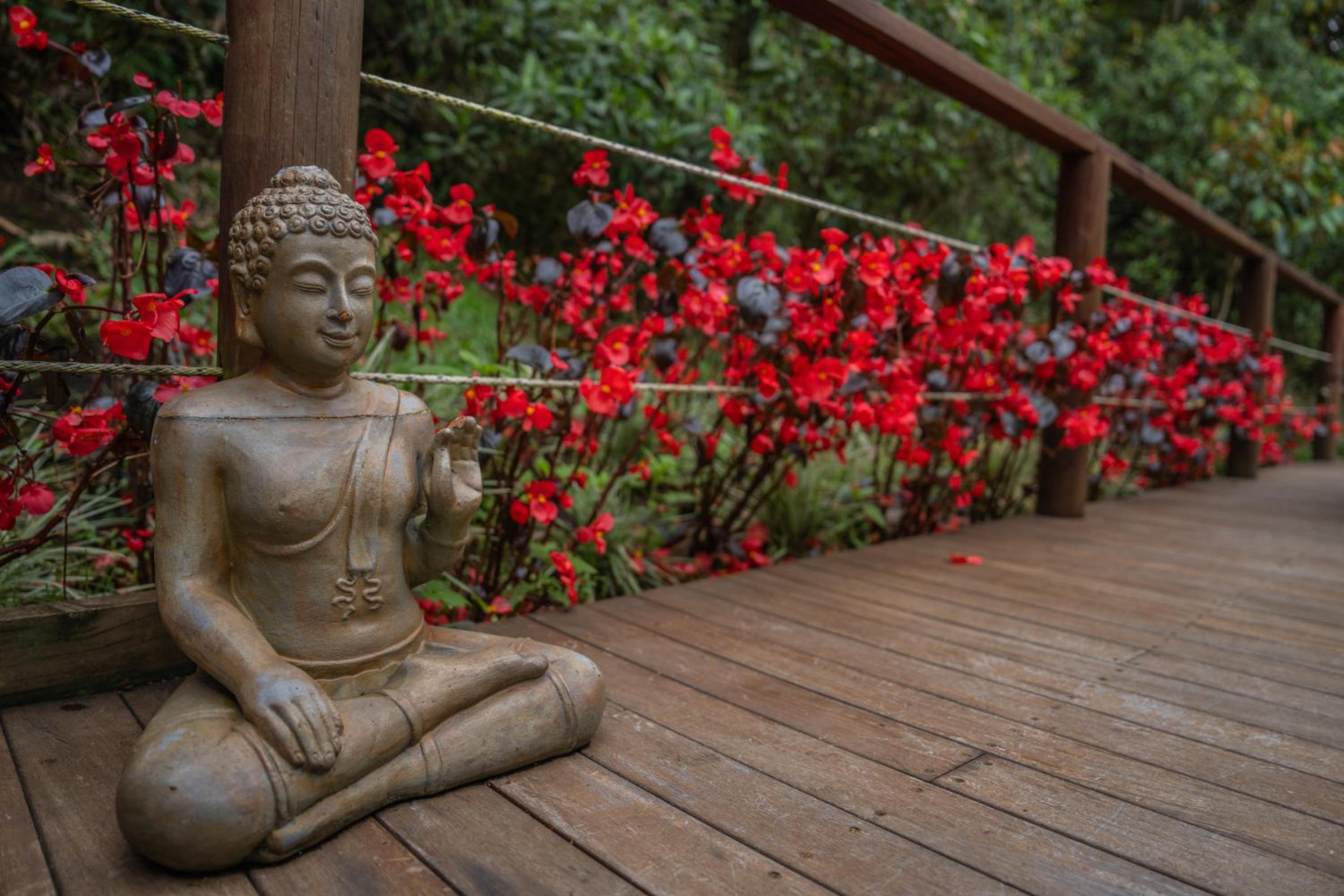 BubbleSky Glamping 40 min from Medellin - Property Image 51