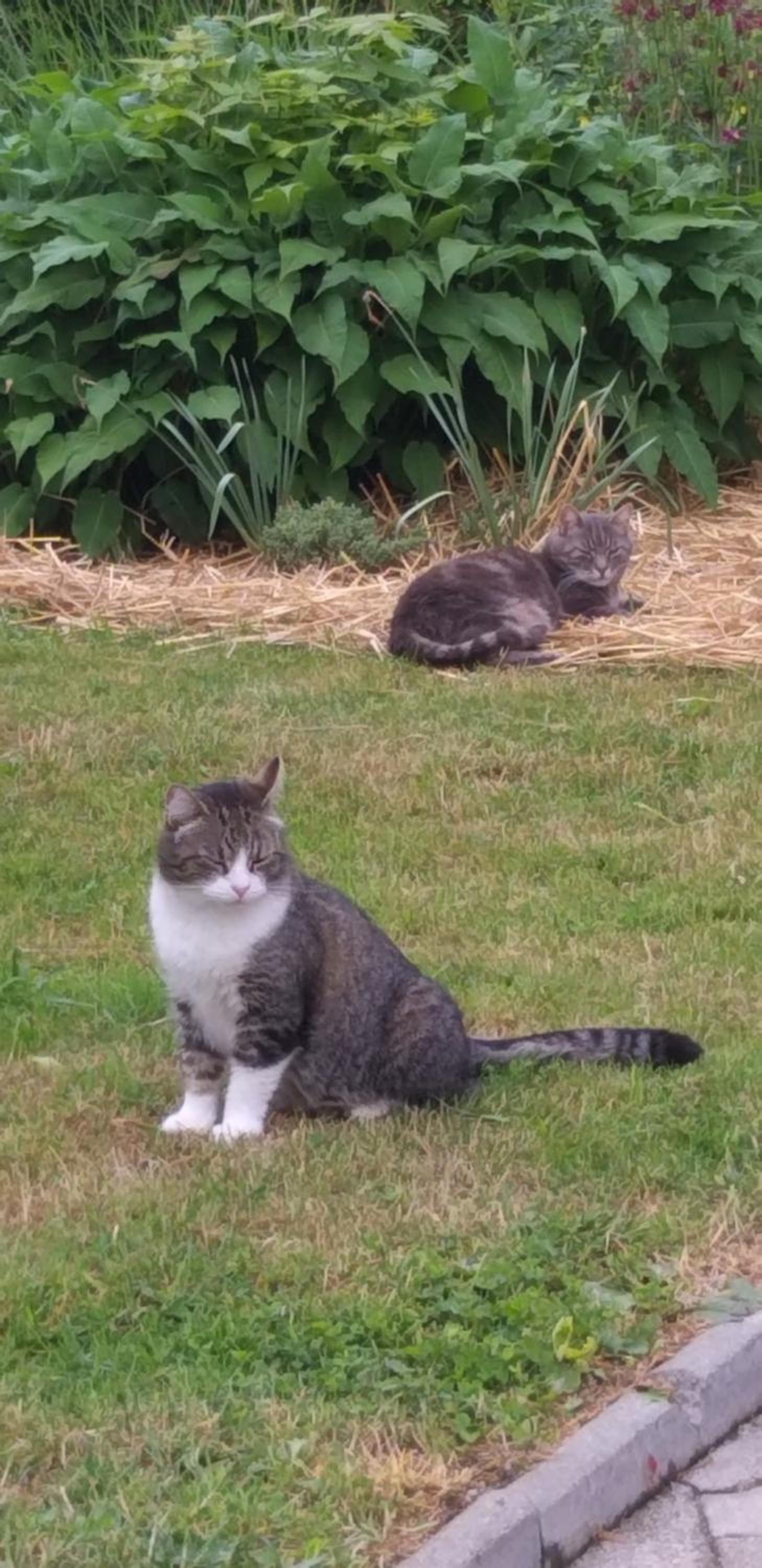 Photo 28