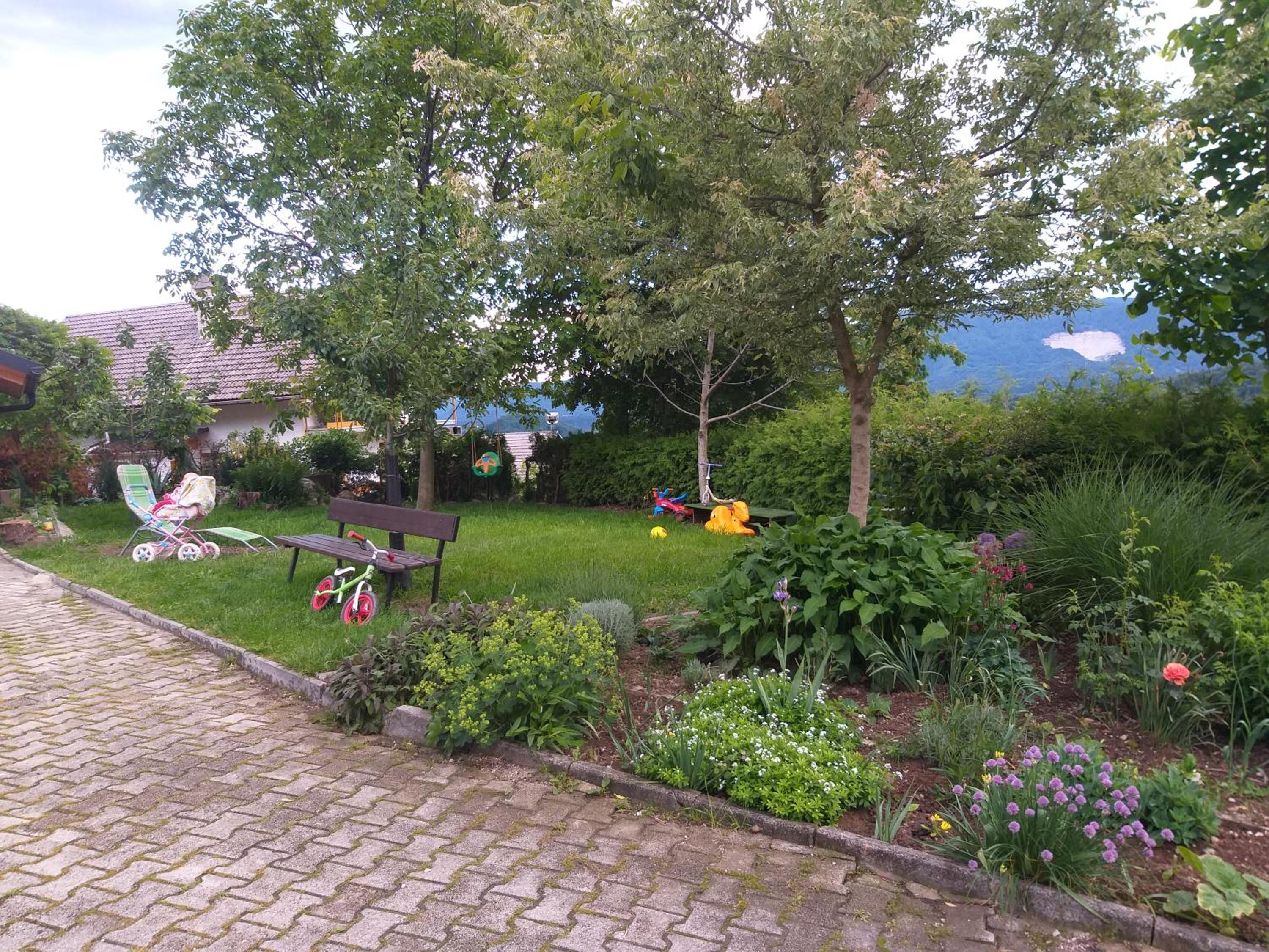 Photo 32