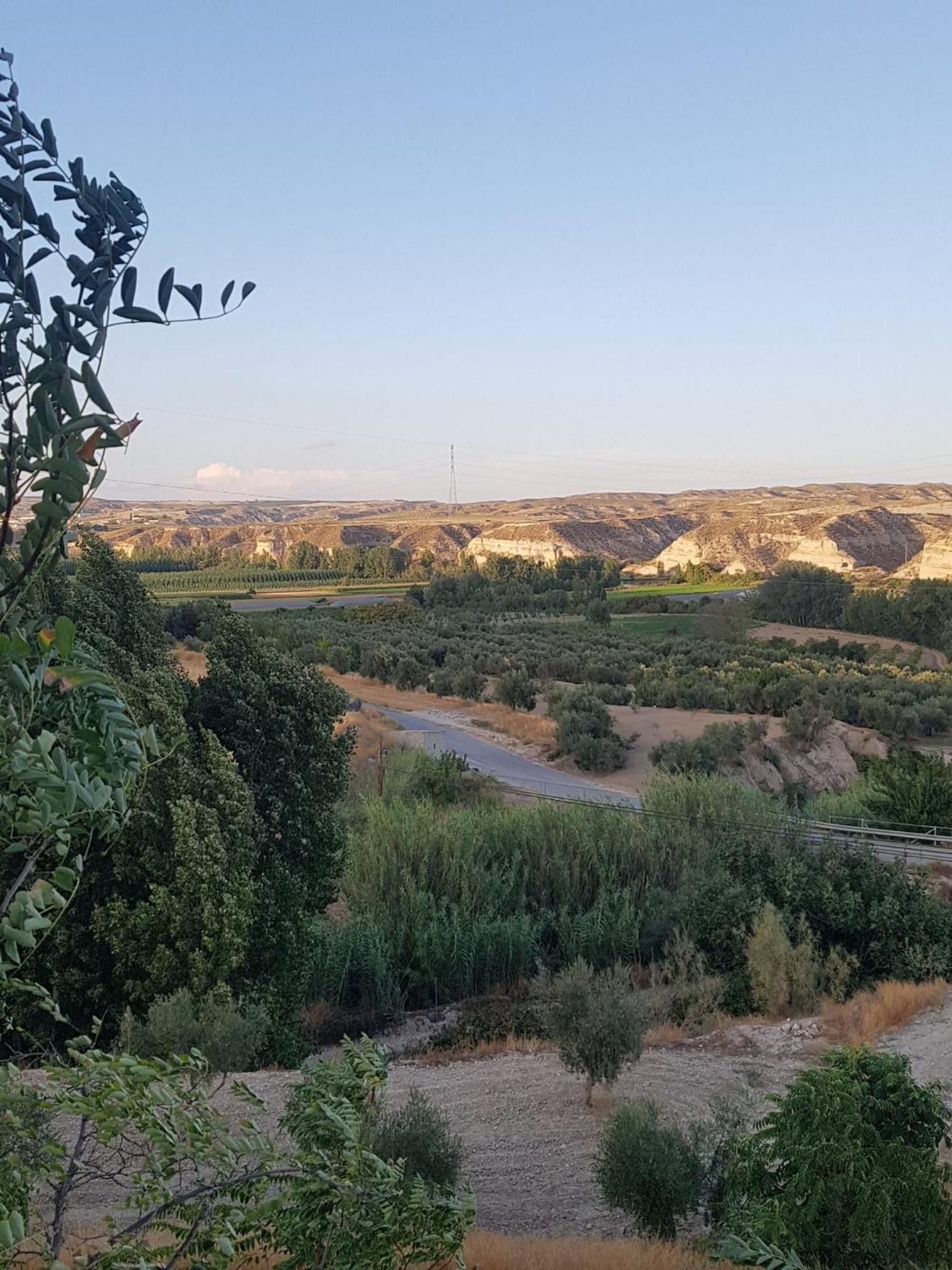 Cueva Maite