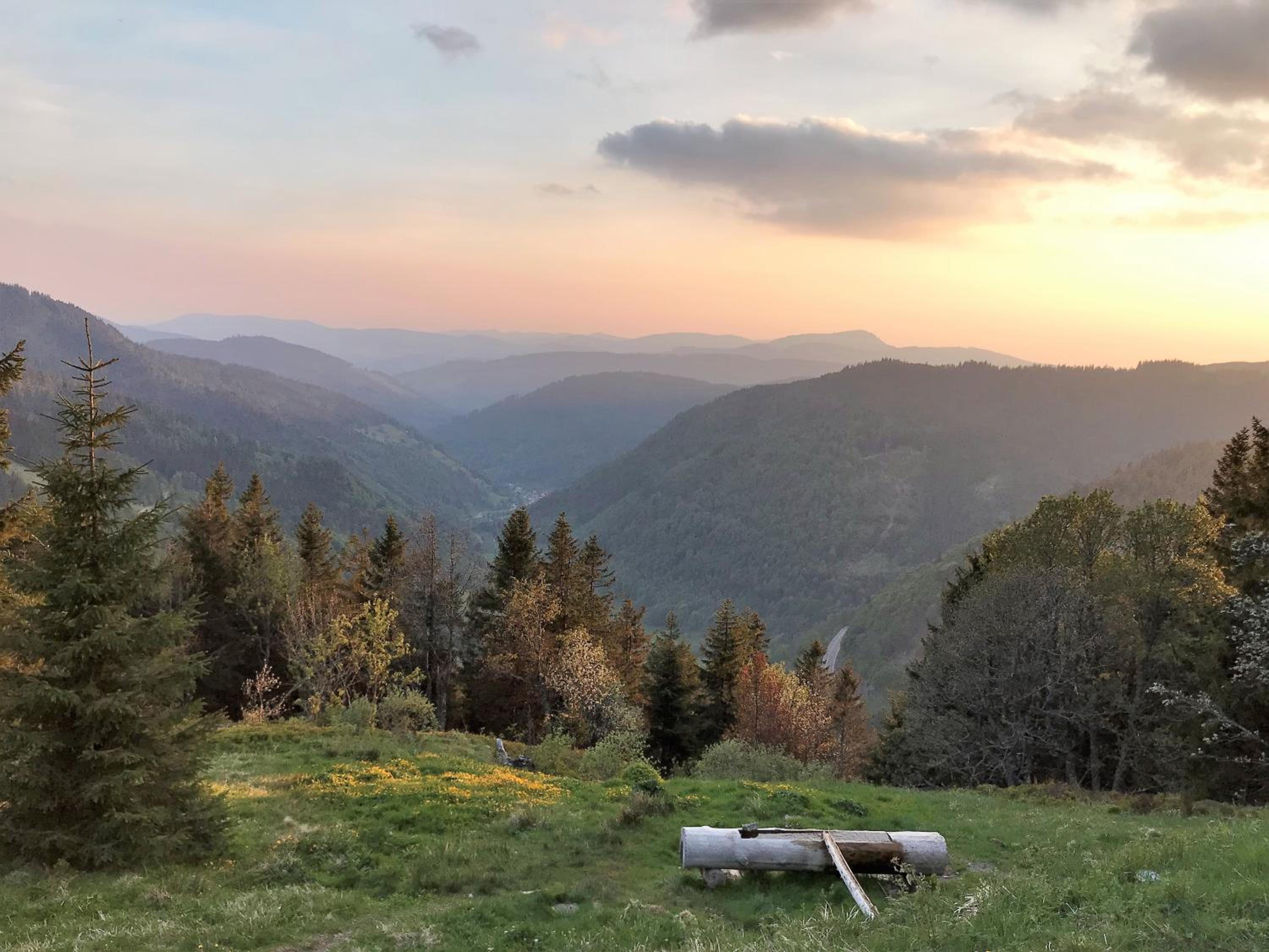 Ferienwohnung Schwarzwaldnest Feldberg