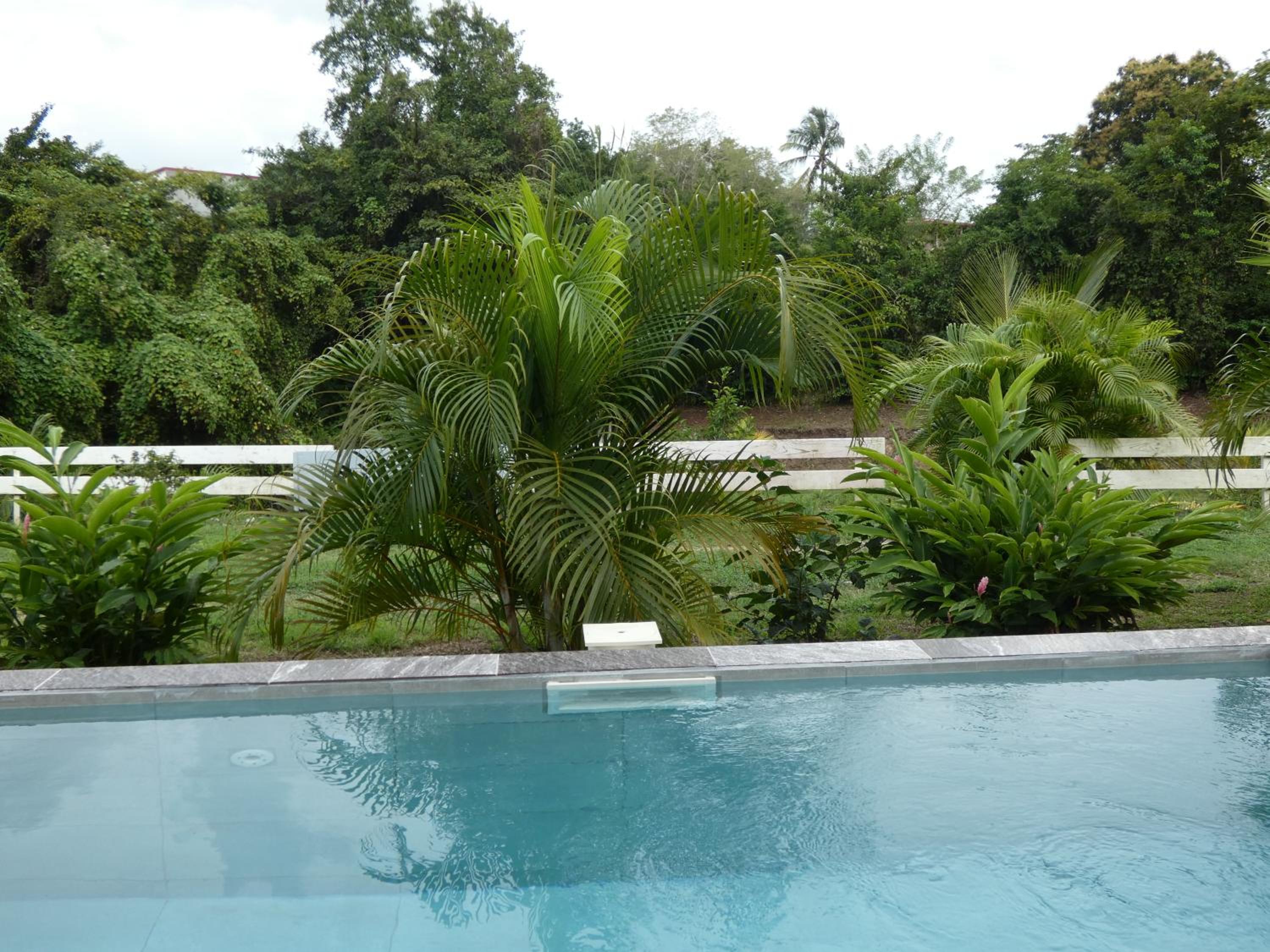 Proprizen view 4