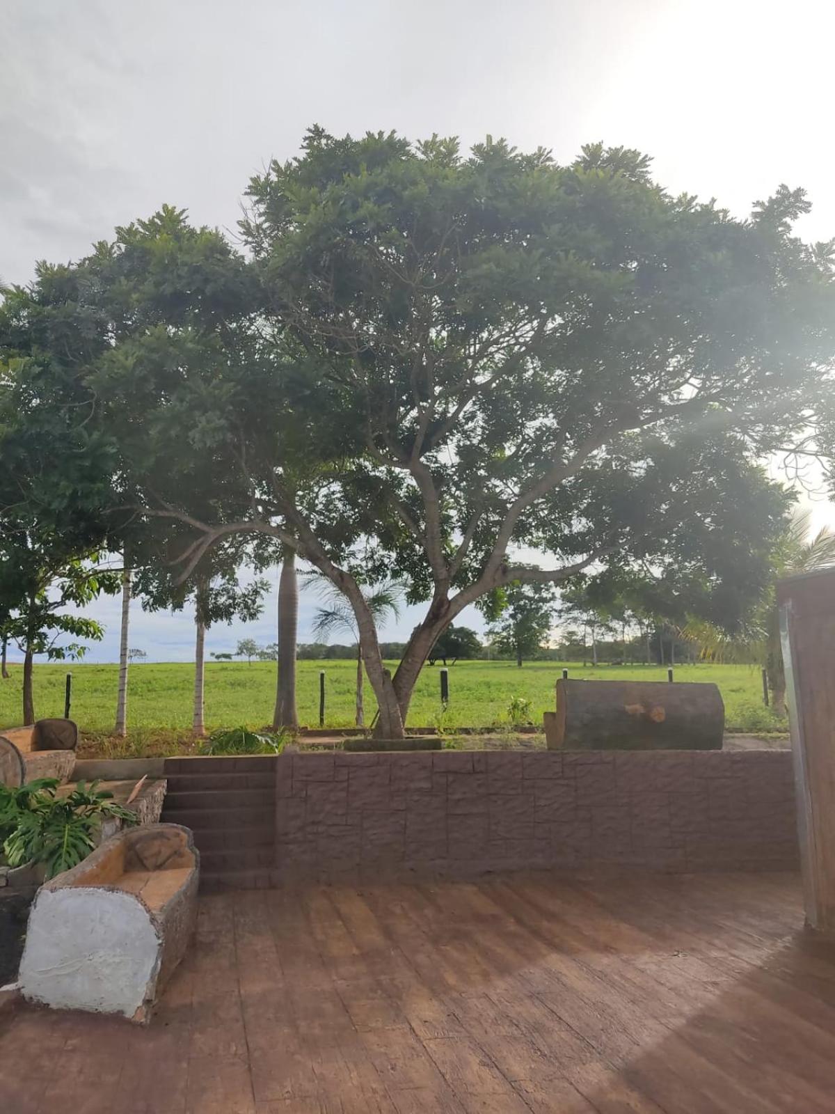 Casa de campo completa! Chácara Magnífica!