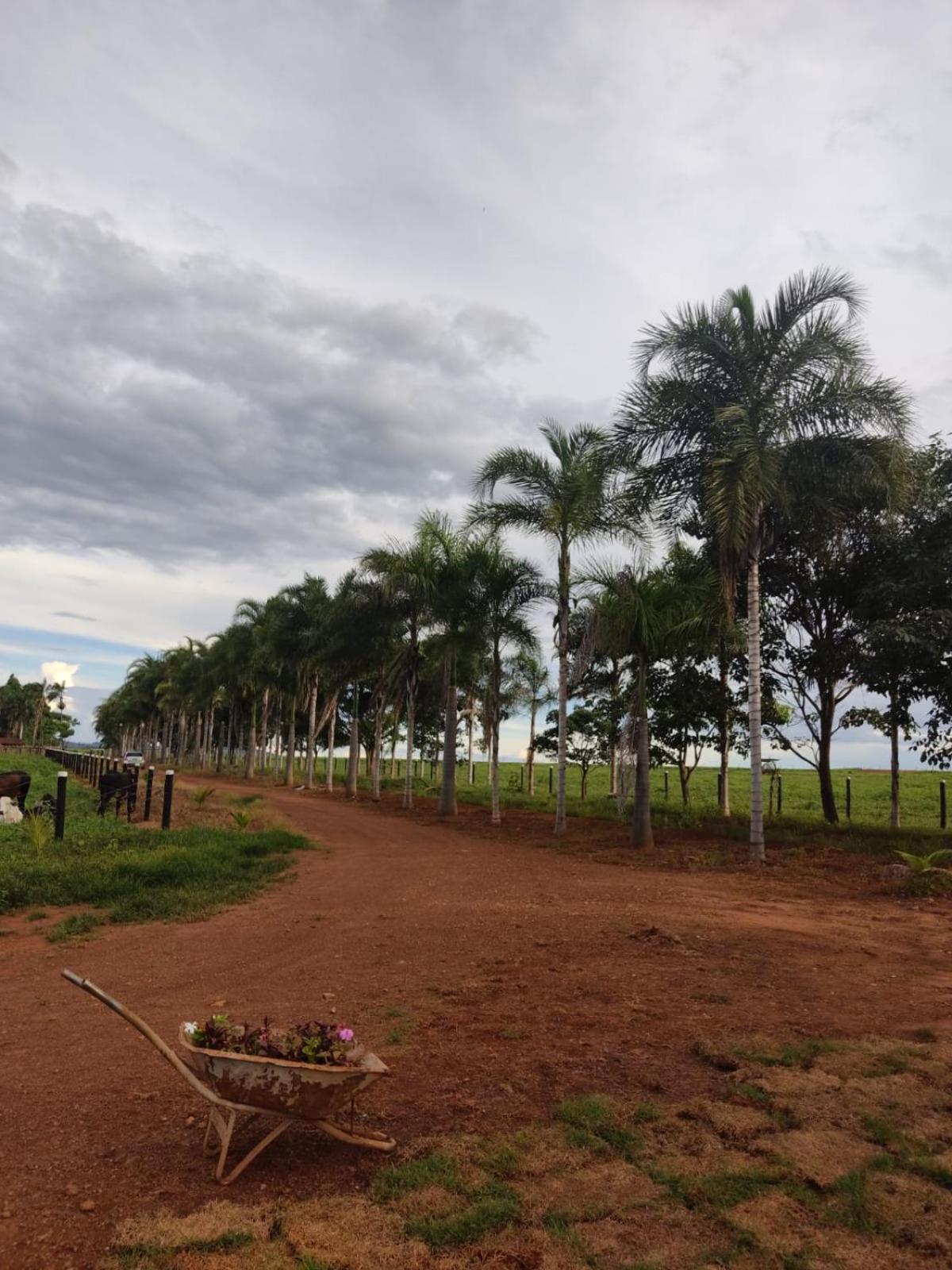 Casa de campo completa! Chácara Magnífica!