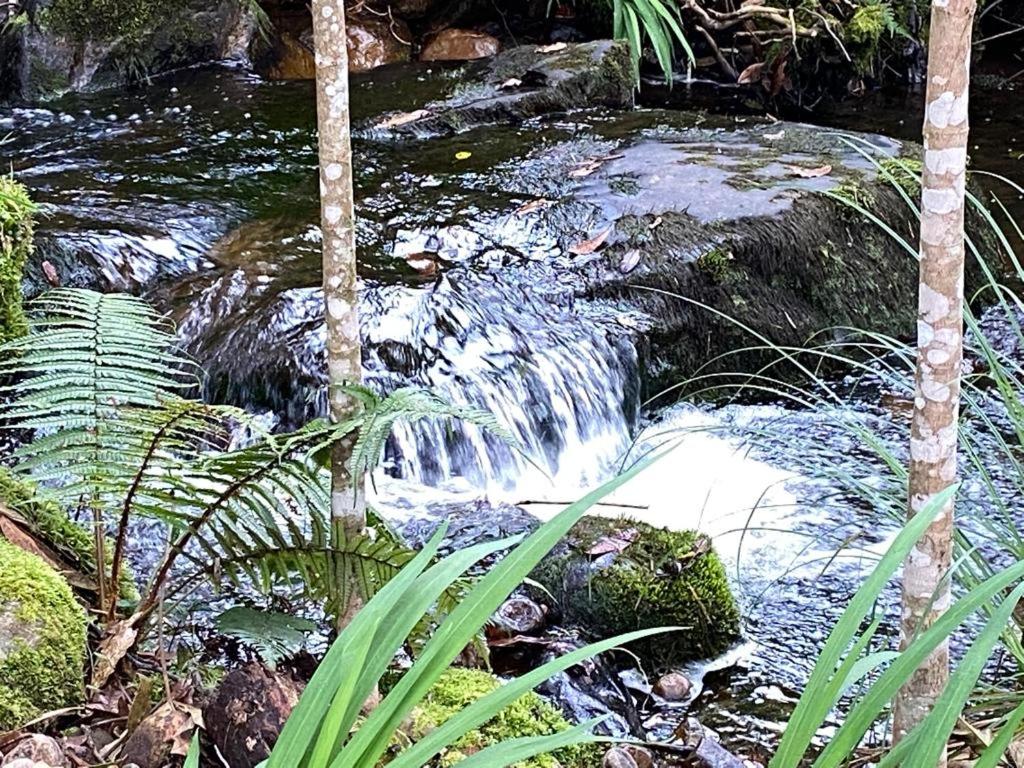 Catigua Reserva de Autosananción