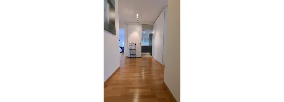 Bright spacious and modern apartment with terrace view 5