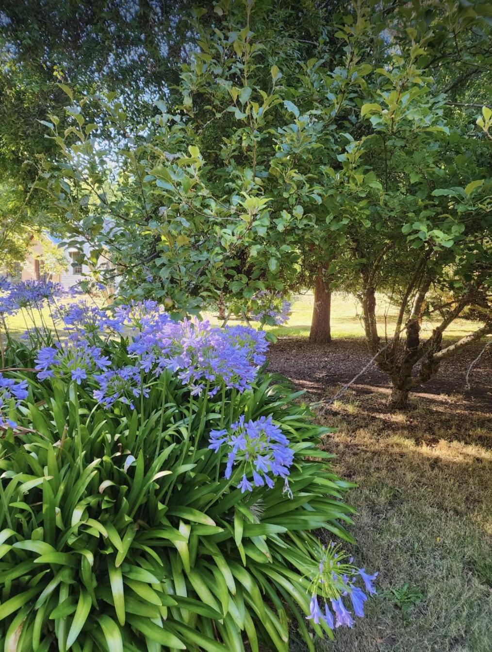 Daylesford FROG HOLLOW ESTATE- The Retreat - Newly renovated ONE BEDROOM RETREAT with Queen Bed