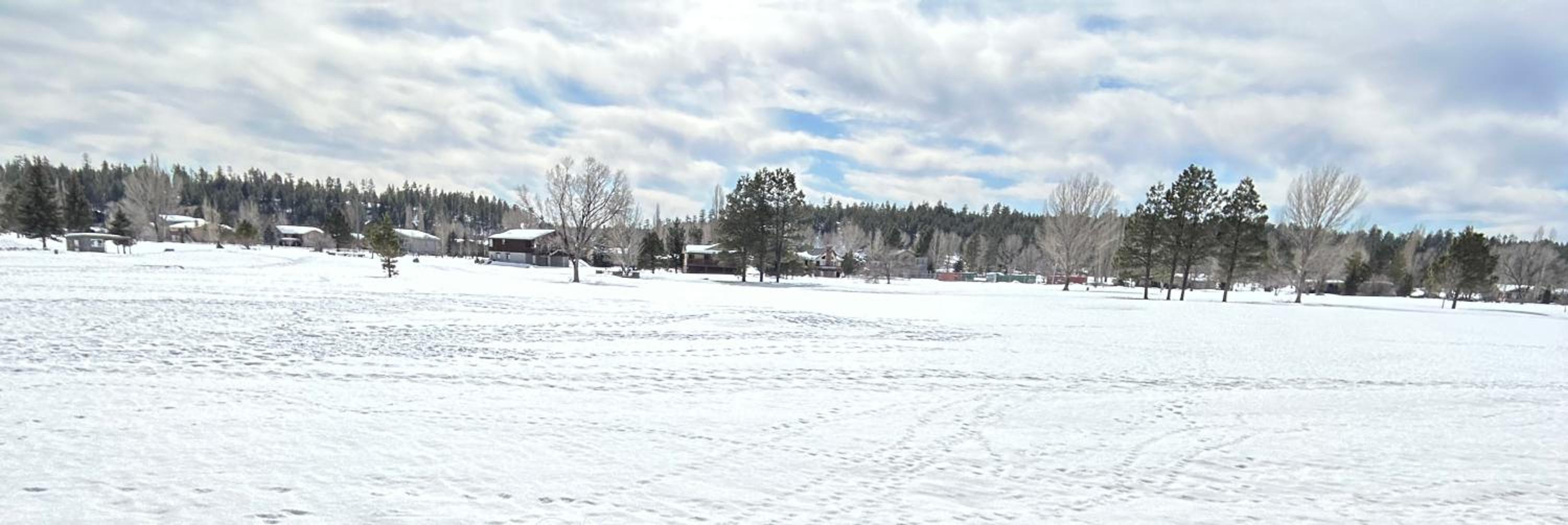 RelaxingRejuvenating 4BR 3 and half BA cabin Munds Park view 2