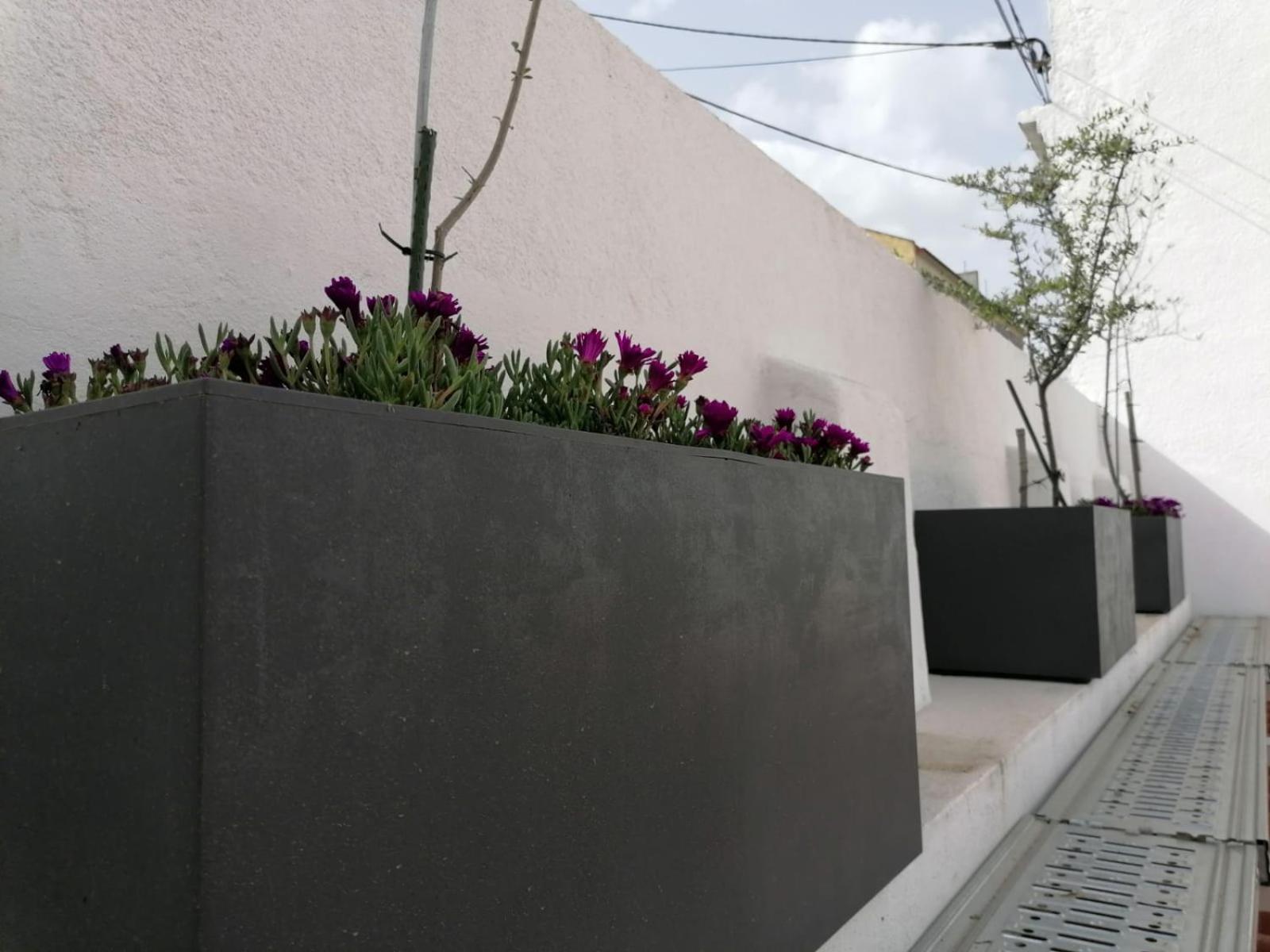 Casa do Lado - The next door view 4