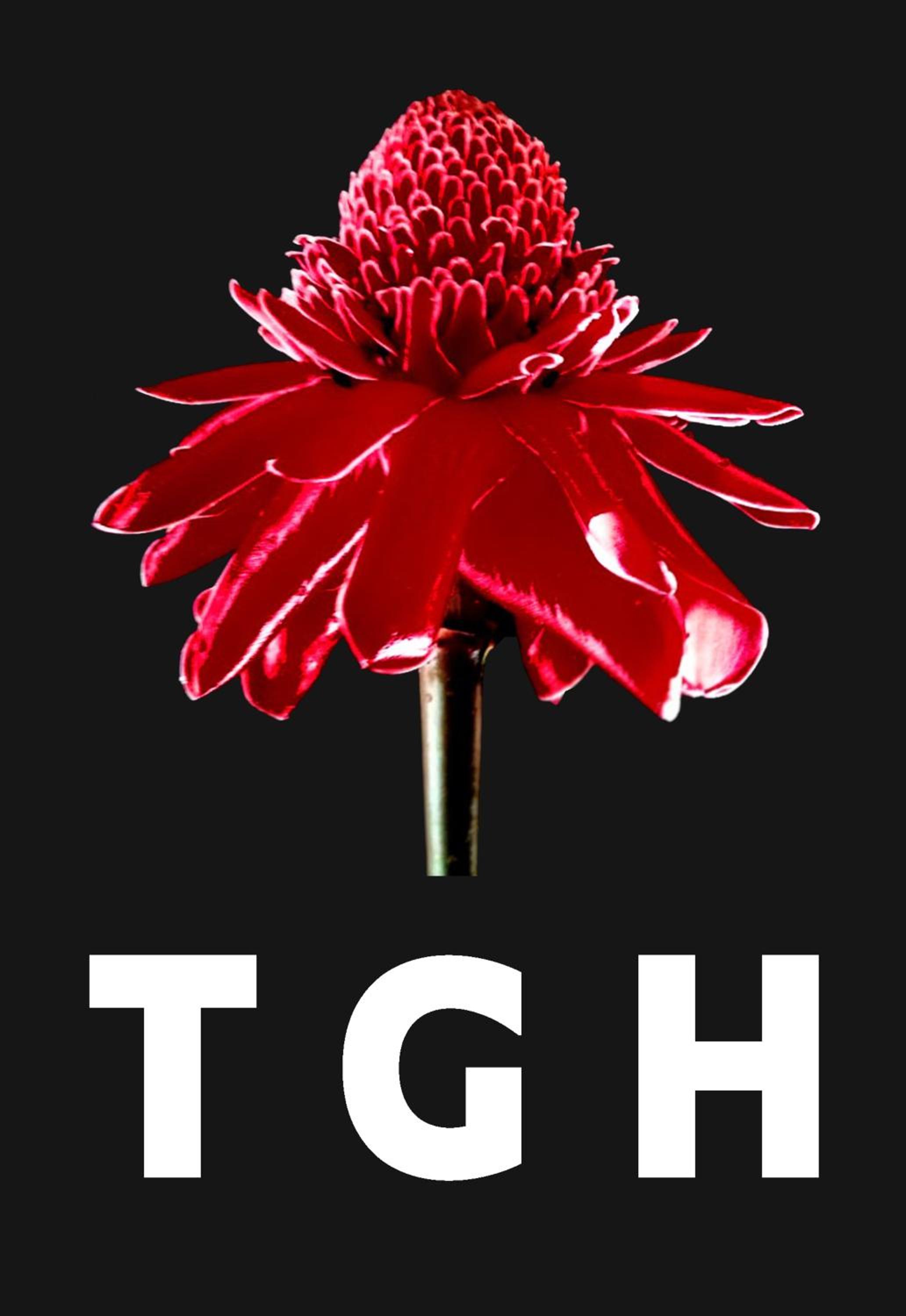 Torch Ginger Homestay